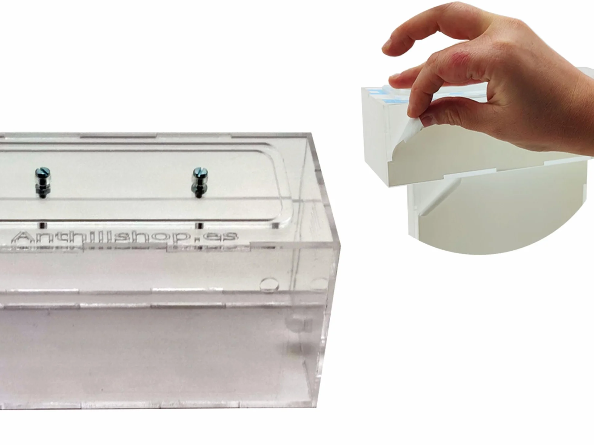 Formicaio di Sabbia Naturale Acrilico 1 - con Formiche Incluse 20-30 Formiche.