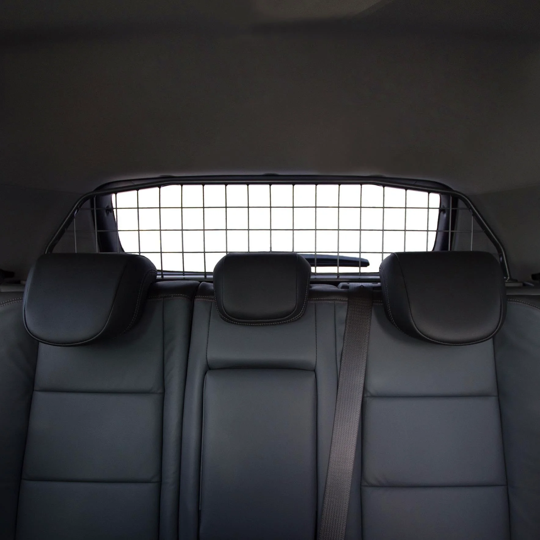 Travall Guard Griglia di Protezione Compatibili con Opel Mokka & Mokka X (2012-2019) Chevrolet Trax (2013-Corrente) TDG1345 – Griglia Divisoria Specifica in Acciaio Dolce