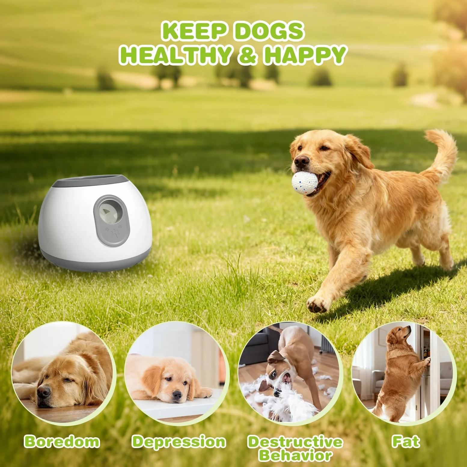 lancia palline per cani,lancia pallines per canii automatico con 6 pallinee da tennis da 2'',palla interattiva per canii distanza regolabile 10/20/30ft spara pallines per cani giochi