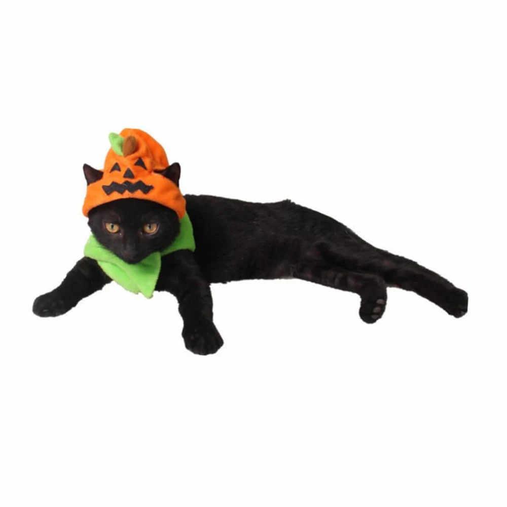 Beavorty 3 Pezzi Cappello Per Halloween Per Cani E Gatti Decorazione Per Cosplay Per Animali Domestici Elegante E Confortevole Per Feste Foto Ed Eventi