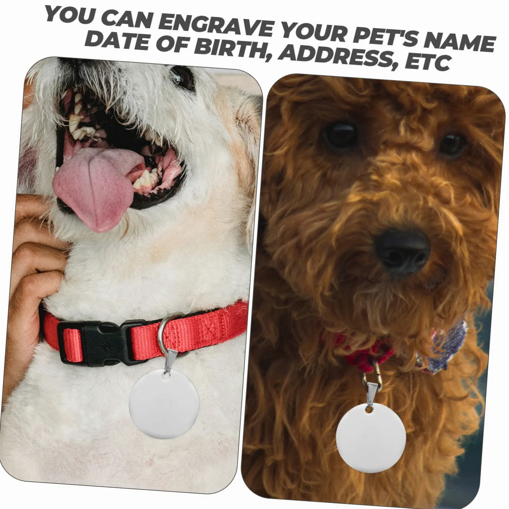 POPETPOP 3 Set Etichetta Di Identità Animale Targhetta Personalizzata Medaglietta Cane Medaglietta Di Riconoscimento Ciondoli Vuoti A Cerchio Piatto Cani Medaglietta in Titanio 10 Pezzi * 3