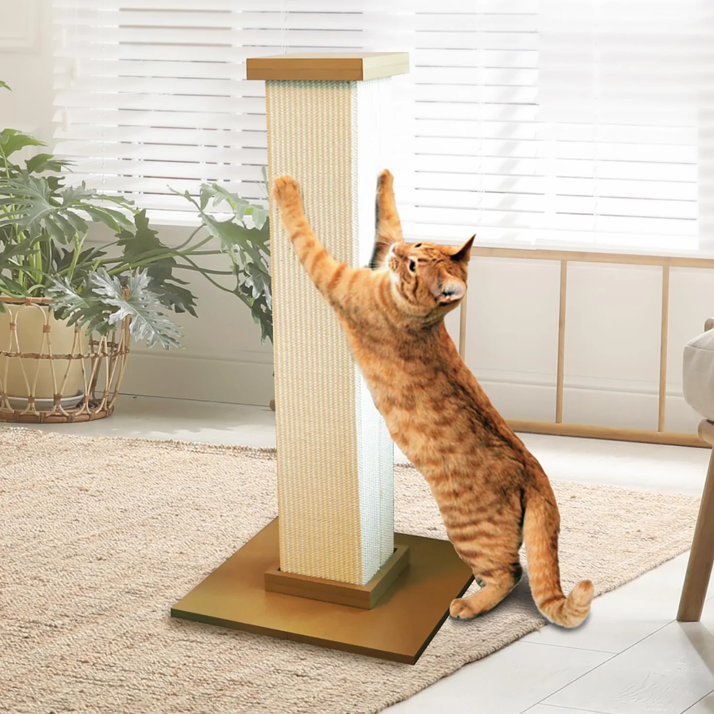 Smart Cat - Tiragraffi definitivo