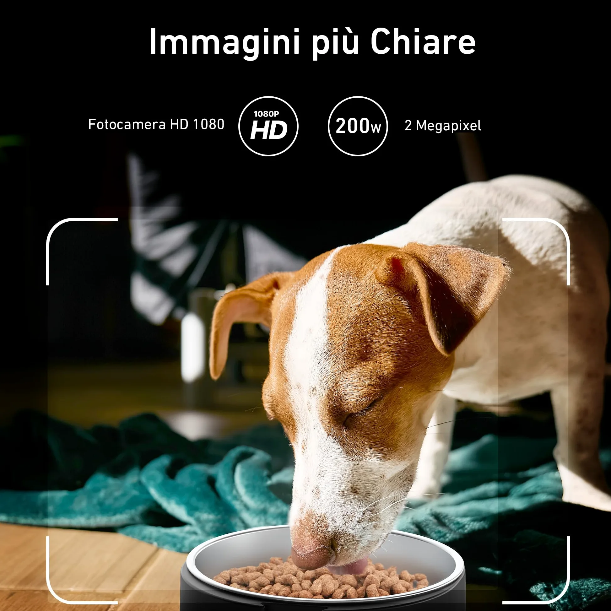 Nityers Distributore Automatico Cibo per Gatti e Cani con Telecamera 1080P e Visione Notturna, Audio Bidirezionale, WiFi 2.4/5GHz, Controllo APP, Ciotola Inox Grande