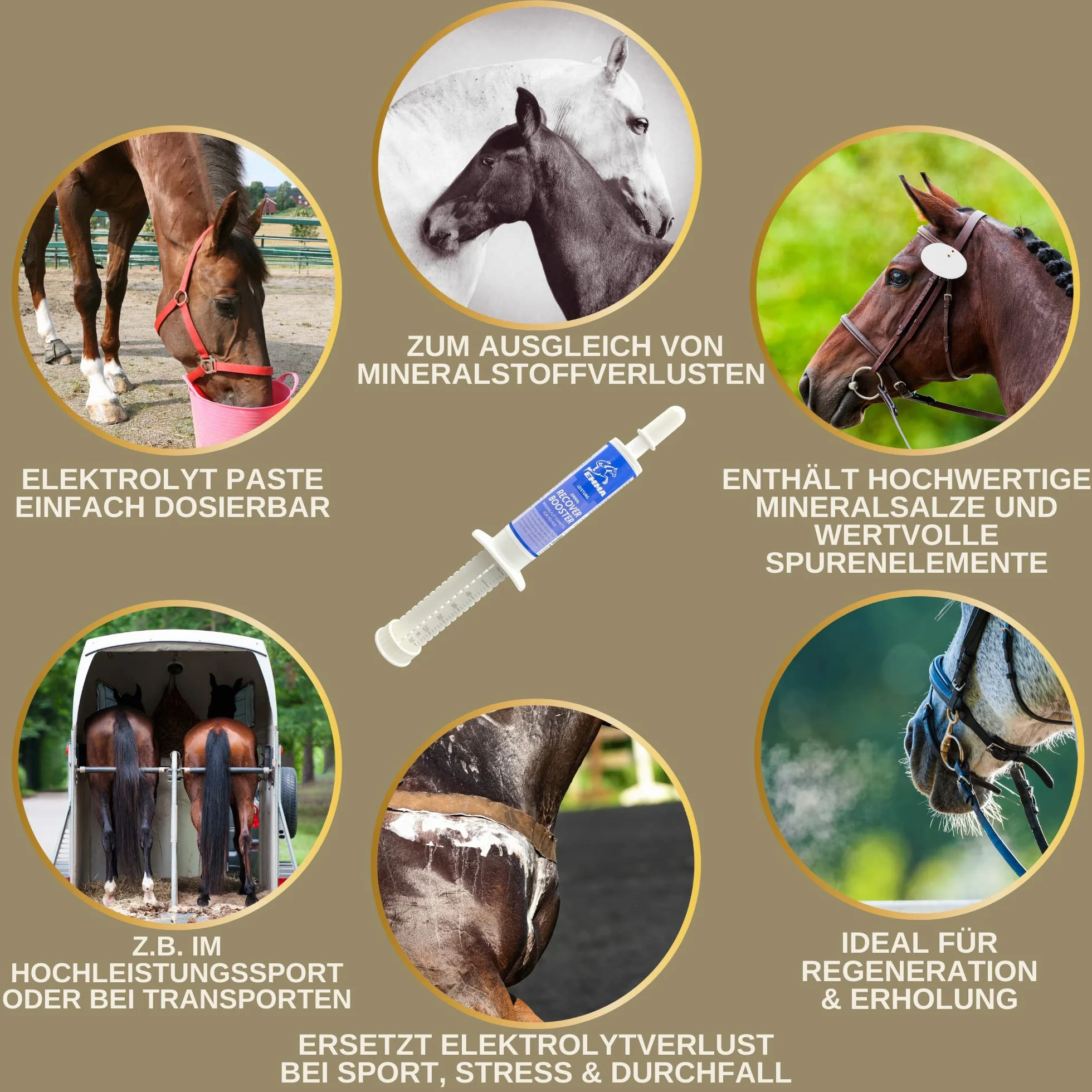 Elettroliti Cavallo - Pasta vitaminica per cavalli I Complesso vitaminico b Cavallo I Elettroliti Sodio Potassio Magnesio I Alimenti minerali Cavalli dopo la diarrea Vomito Acqua Sali minerali 3p.