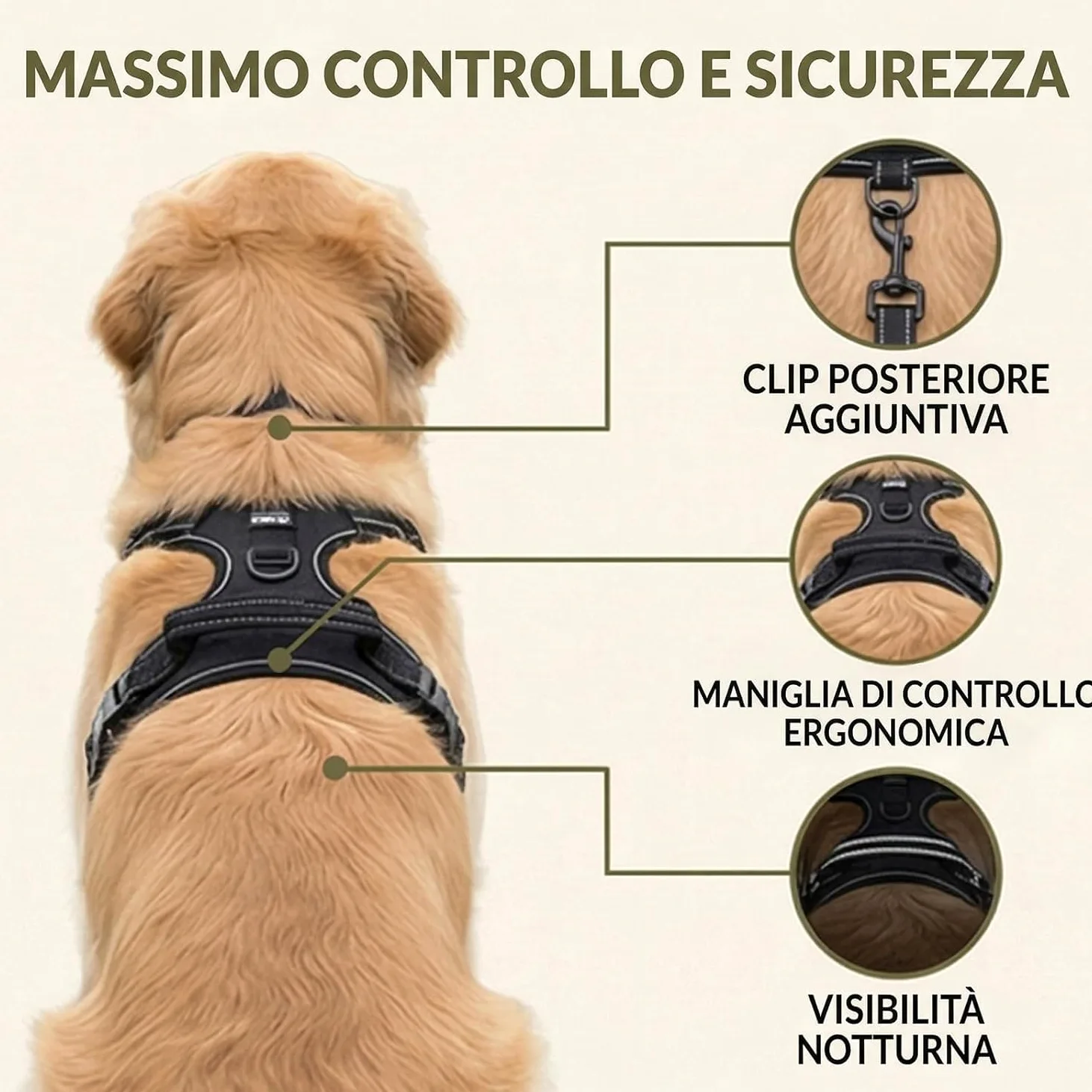 Cosyrae Pettorina anti-tiro
