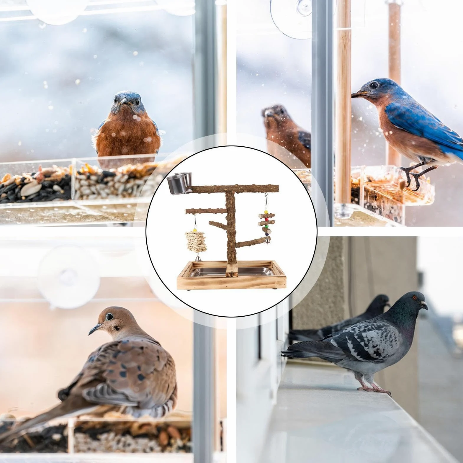 PARROT STAND - Play Parco Per Uccelli In Legno | Partet Play Stand Con Coppa Di Alimentazione, Pesce Per Pescelatura Per Uccelli, Giocattoli Da Gioco Da Ginnastica Per Palestra Per Palette Da Masticaz