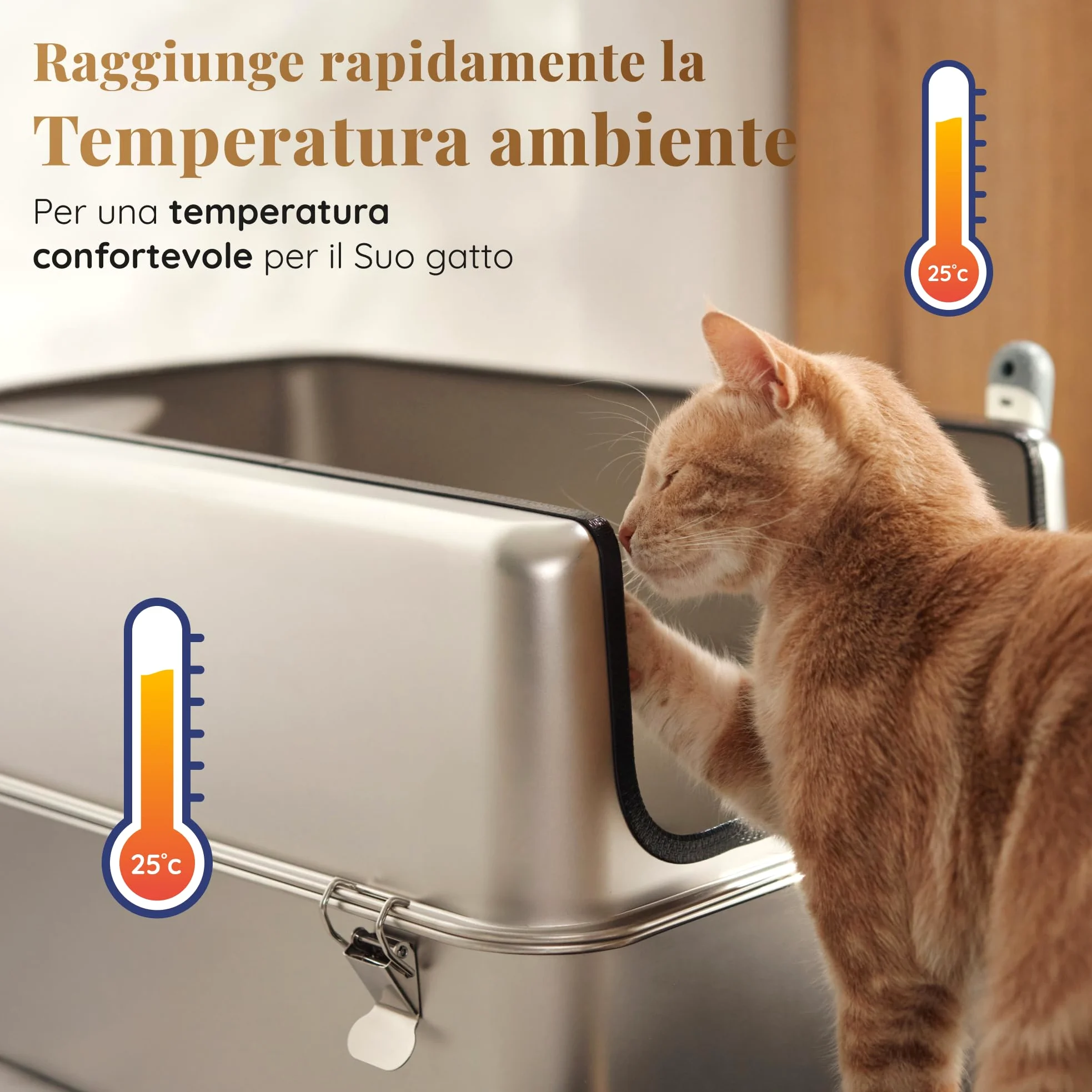 Lettiera Acciaio Inox – Inodore e Antiaderente – La Cassetta Gatto Inox XXL – Capacità 38L – Lettiere in acciaio per gatti – Con Paletta e Tappetino per Lettiera – 60 × 40 × 32 cm