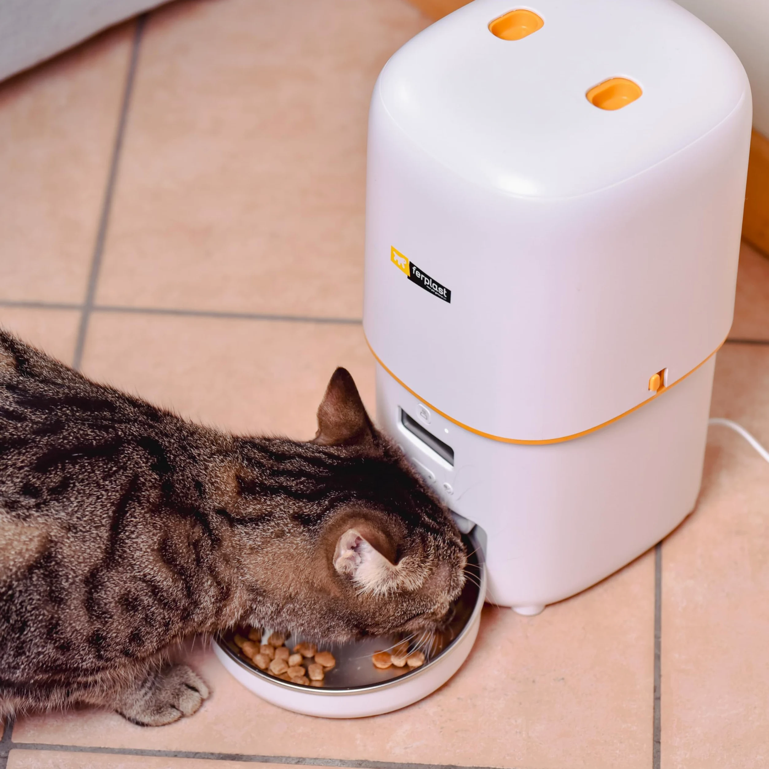 Ferplast Distributore Automatico Cibo Gatti e Cani, 4L, Programmabile Fino a 6 Pasti al Giorno e 16 Dosaggi, Doppia Alimentazione Batterie e Spina, Essiccante Controllo Umidità, Ciotola Acciaio Inox