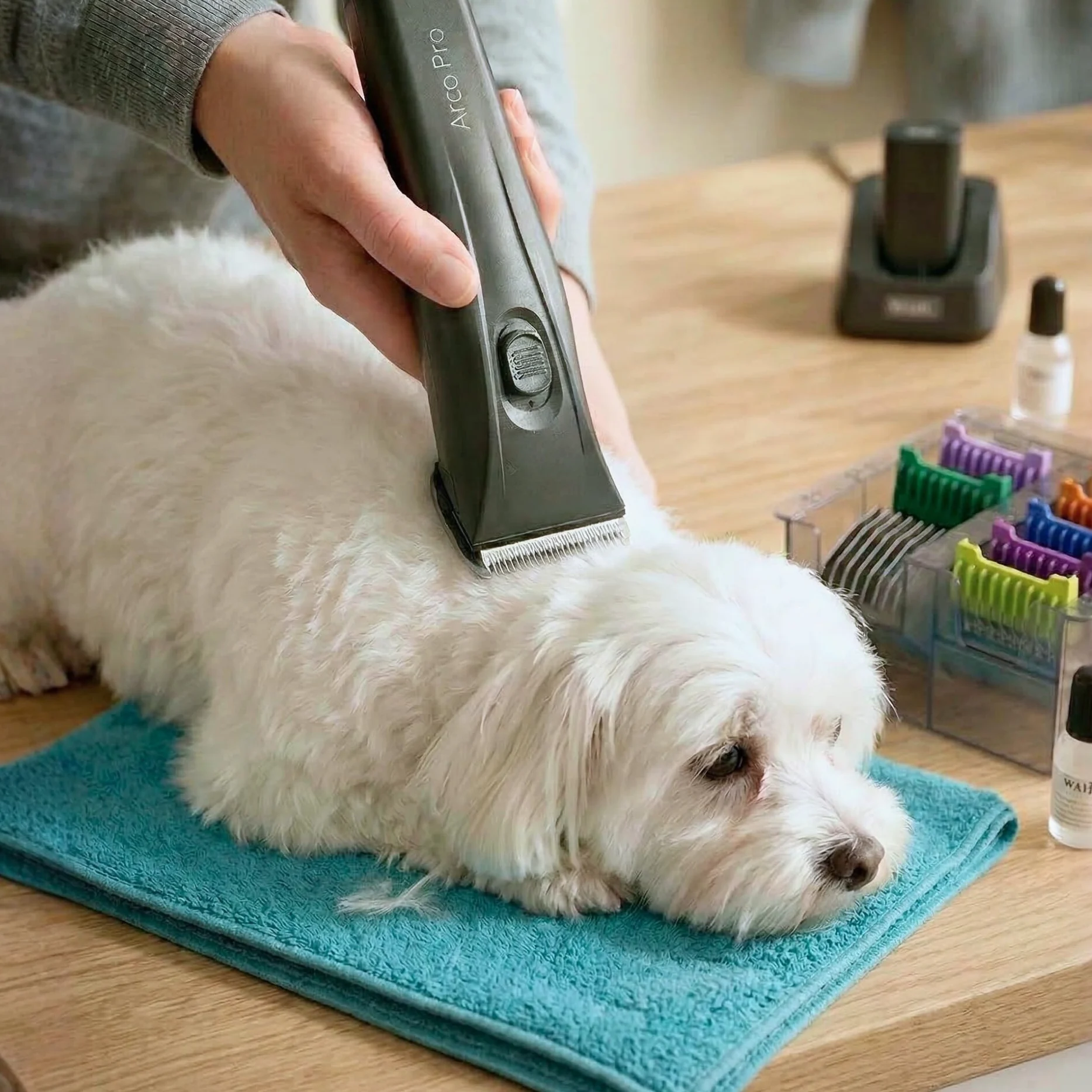 Agrarzone Edition Wahl Moser Arco Pro tosatrice cani e gatti - 2 batterie, Set rialzi, Leggera, Silenziosa, Potente - Made in Germany
