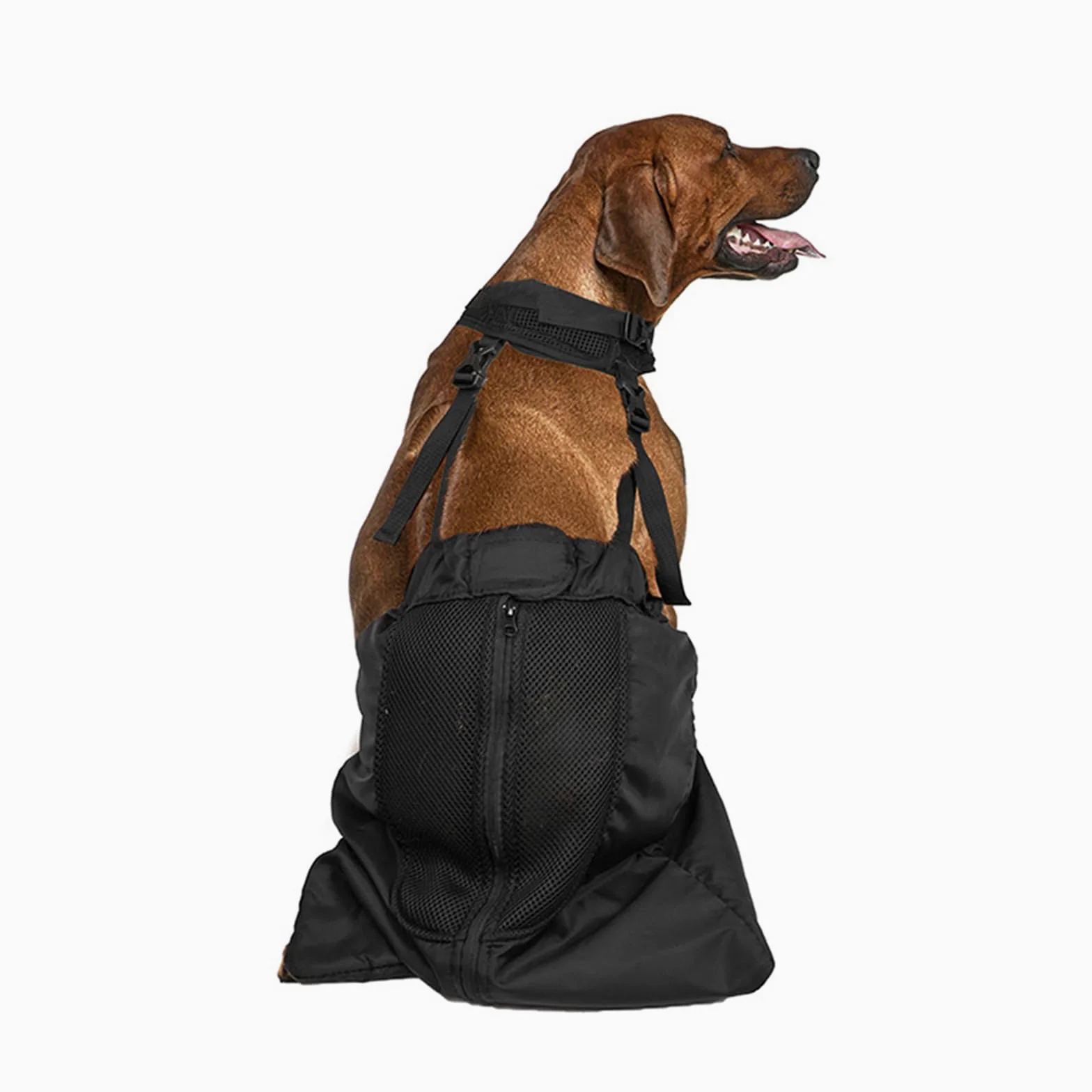 Borsa Cani per Gambe Posteriori,Borse per Cane Sedia a Rotelle Drag Bag per Animali Disabili Paralizzate