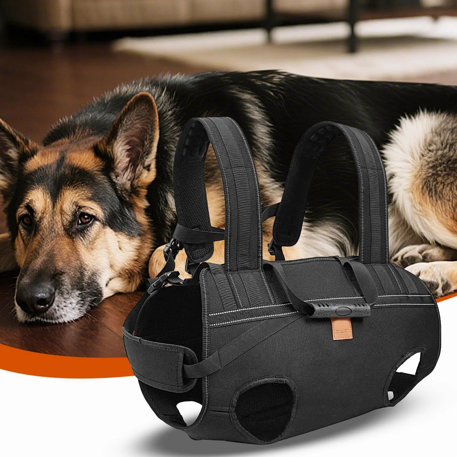 Imbracatura Per Sollevamento Cani Pettorina Regolabile Traspirante | Imbracatura Per Trasporto Cani per Assistenza Mobilità Passeggiate Viaggio Escursioni Riabilitazione Anziani Taglie
