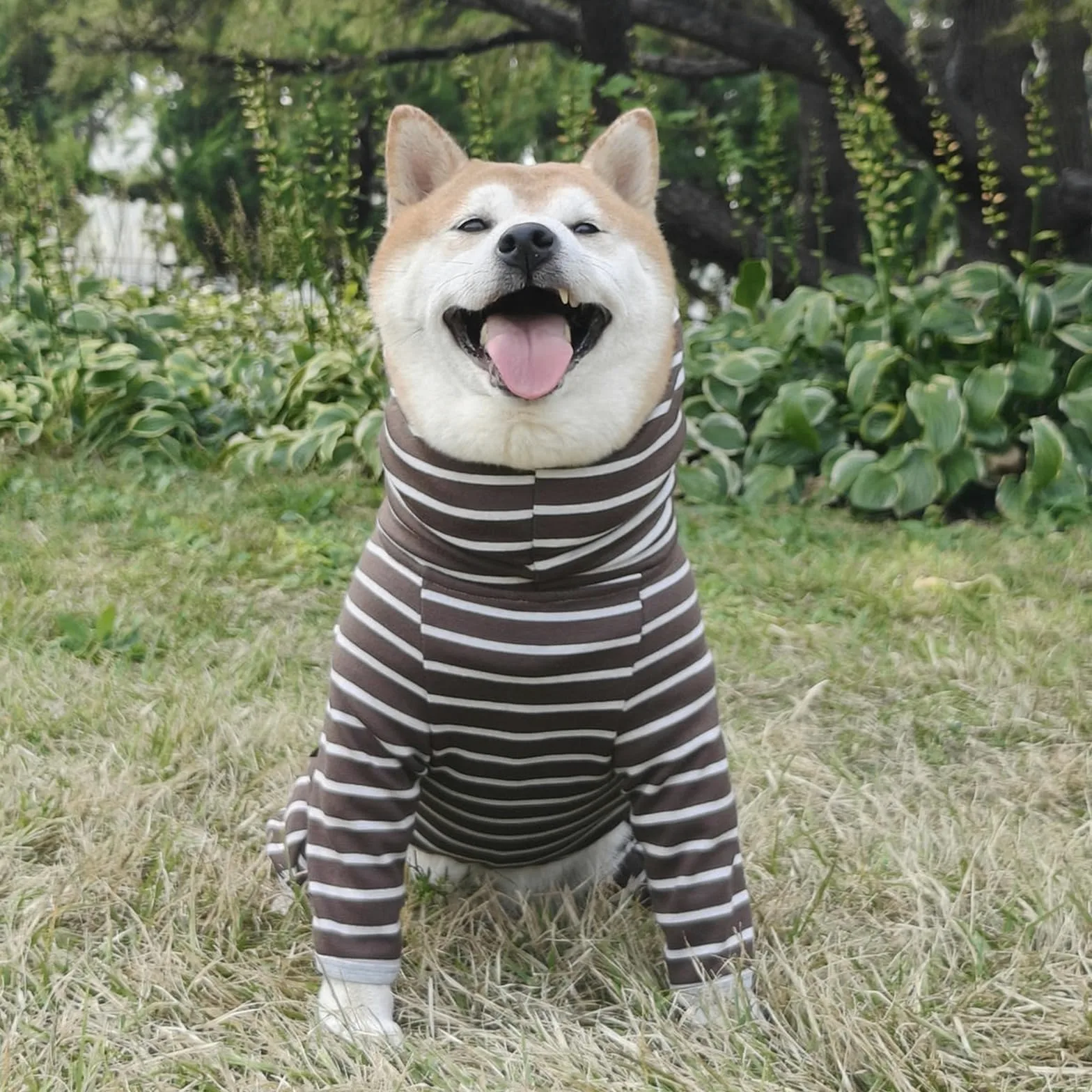 Felpa Con Cappuccio Per Cani Sportiva Alla Moda Felpe A Tutina Dolcevita A Righe Classiche Cappotto Per Cani Tuta Con Cappuccio E Maniche Lunghe A Quattro Zampe