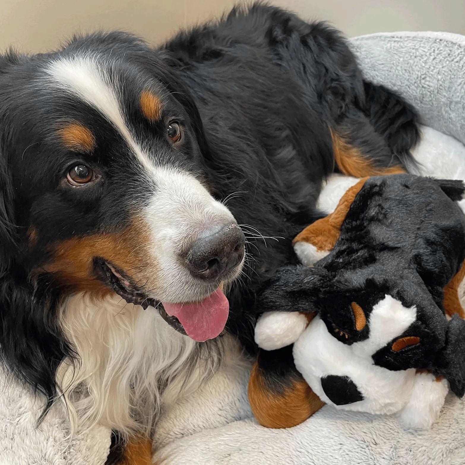 Snuggle Puppy Plus - Peluche per cani con battito cardiaco, sollievo dall'ansia e aiuto calmante, giocattolo comodo per allenamento comportamentale (Bernese)