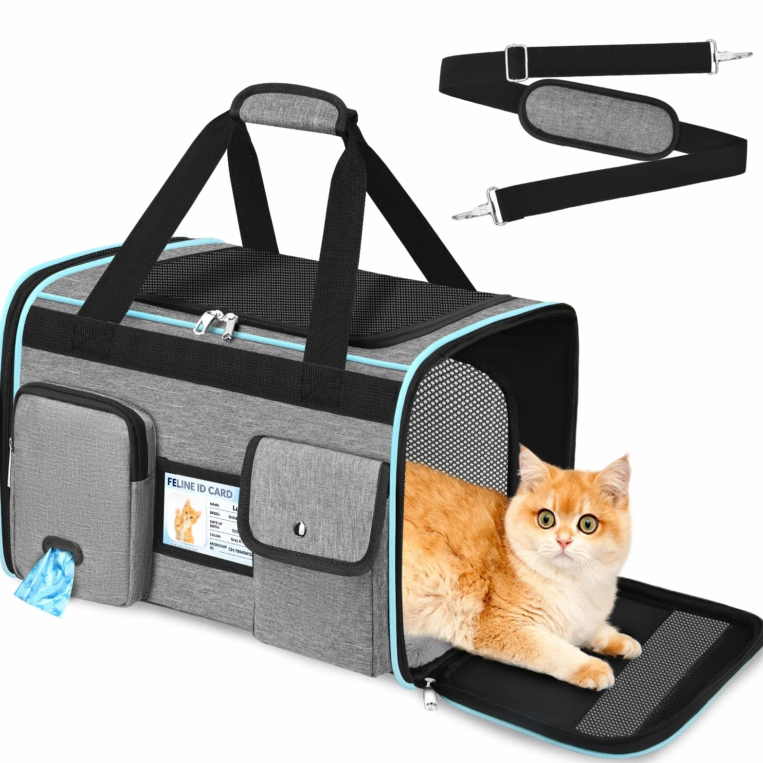 TEUEN Trasportino Morbido Pieghevole Approvato Aereo - Borsa Viaggio per Gatti e Cani fino a 9kg, 4 Lati in Rete, Tessuto Antigraffio con Cuscino Lavabile e Guinzaglio Interno