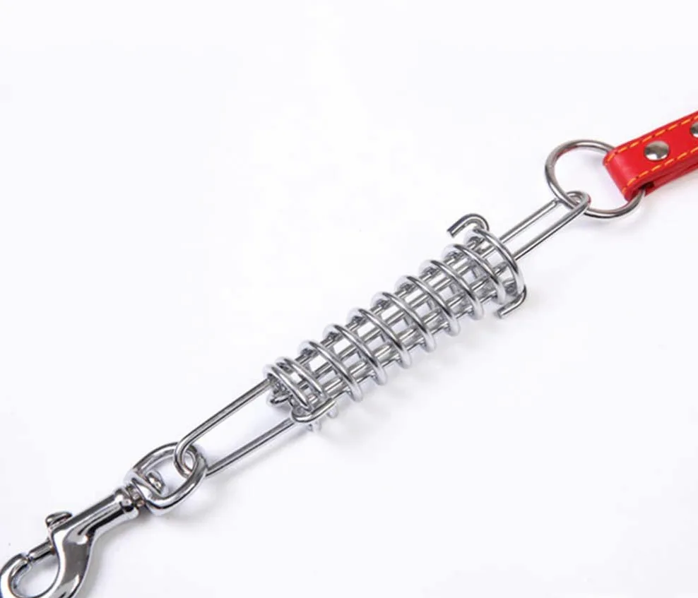 Guinzaglio per Animali Domestici Guinzaglio per Cani in Acciaio Inossidabile con Molla a Strappo Forniture per Animali Domestici per addestramento a Piedi Professionale