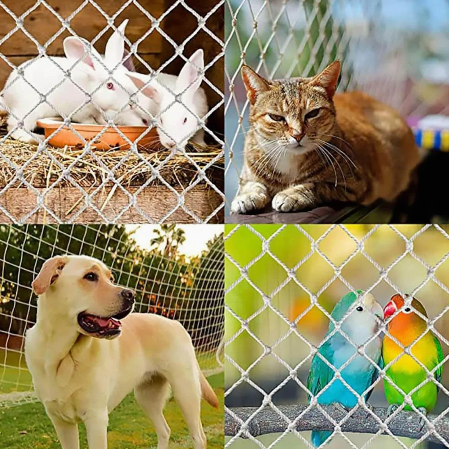 Rete di sicurezza per finestre e balconi, protezione anti-caduta per bambini e animali domestici, design a rete resistente, dimensioni 1 x 10 m