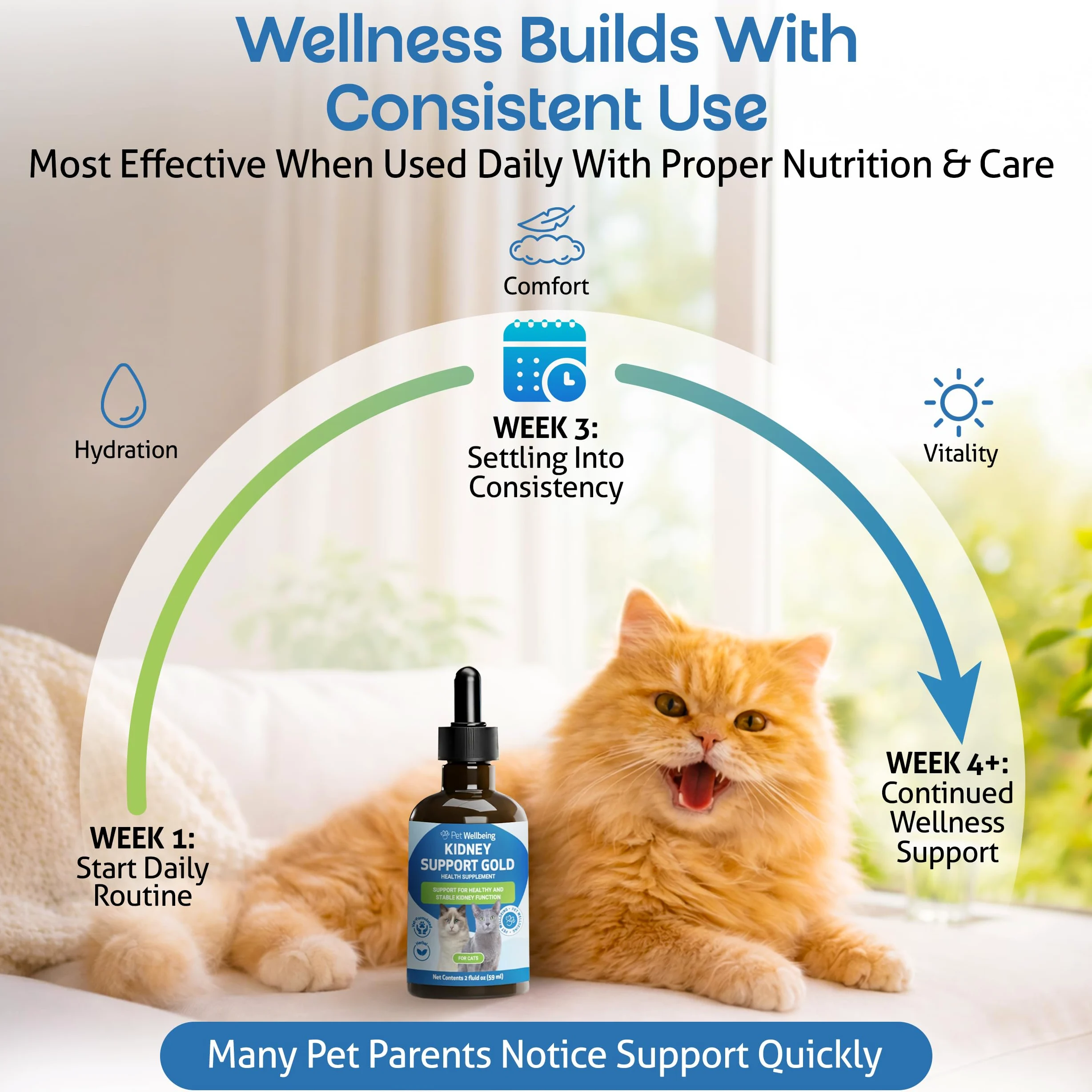 Pet Wellbeing - Supporto Oro Rene Per I Gatti - Il Supporto Naturale Per La Salute Dei Reni Felino - 2 Oz (59Ml)