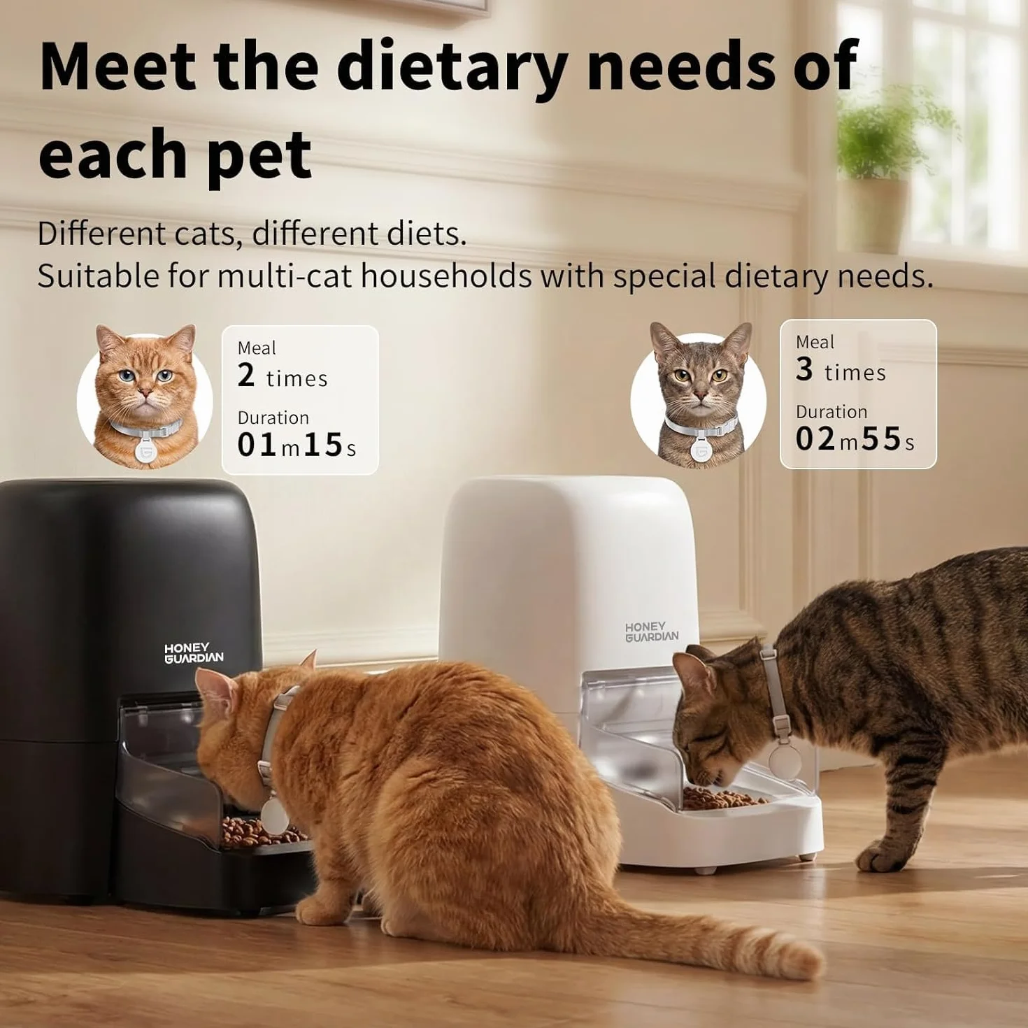HoneyGuaridan RFID 5G WiFi Distributore Automatico Cibo Gatti, 4.6L Dispenser Crocchette Gatto con Pasti Personalizzati Attivati dal Collare, Monitoraggio Dietetico e Antifurto, Ciotola in Ceramica