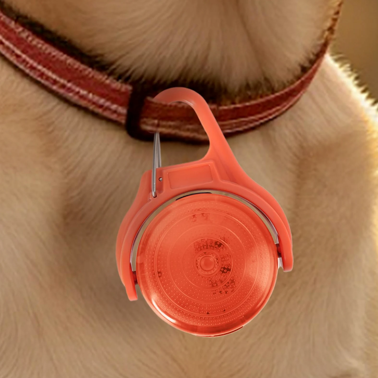 Lampada da passeggio per cani ricaricabile,luci per collare per cani | Luce per collare per animali ricaricabile tramite USB - Torcia per cani multiuso per alpinismo, guida notturna, corsa notturna e