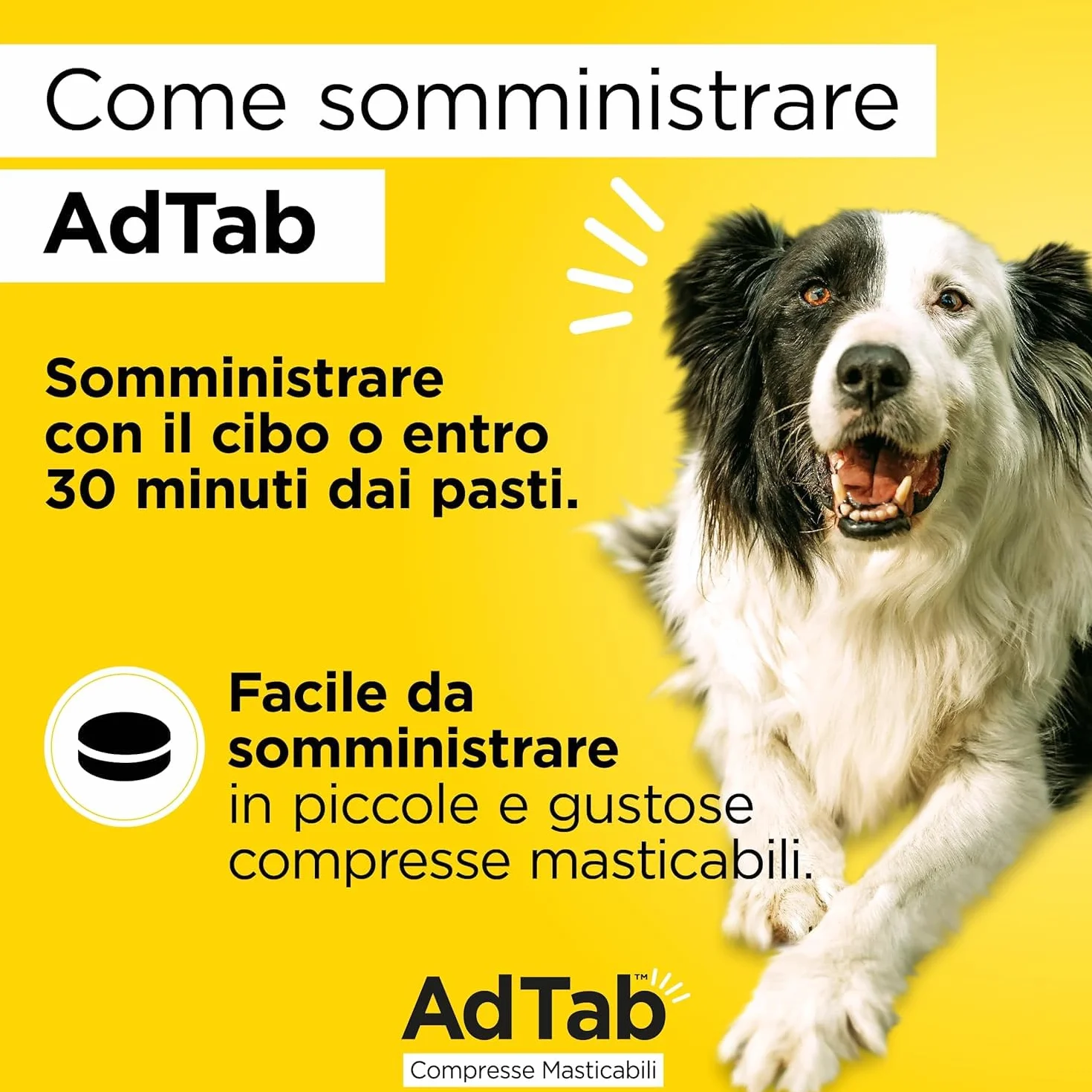 AdTab Compresse Masticabili per Cani >11-22 kg - 6 Compresse