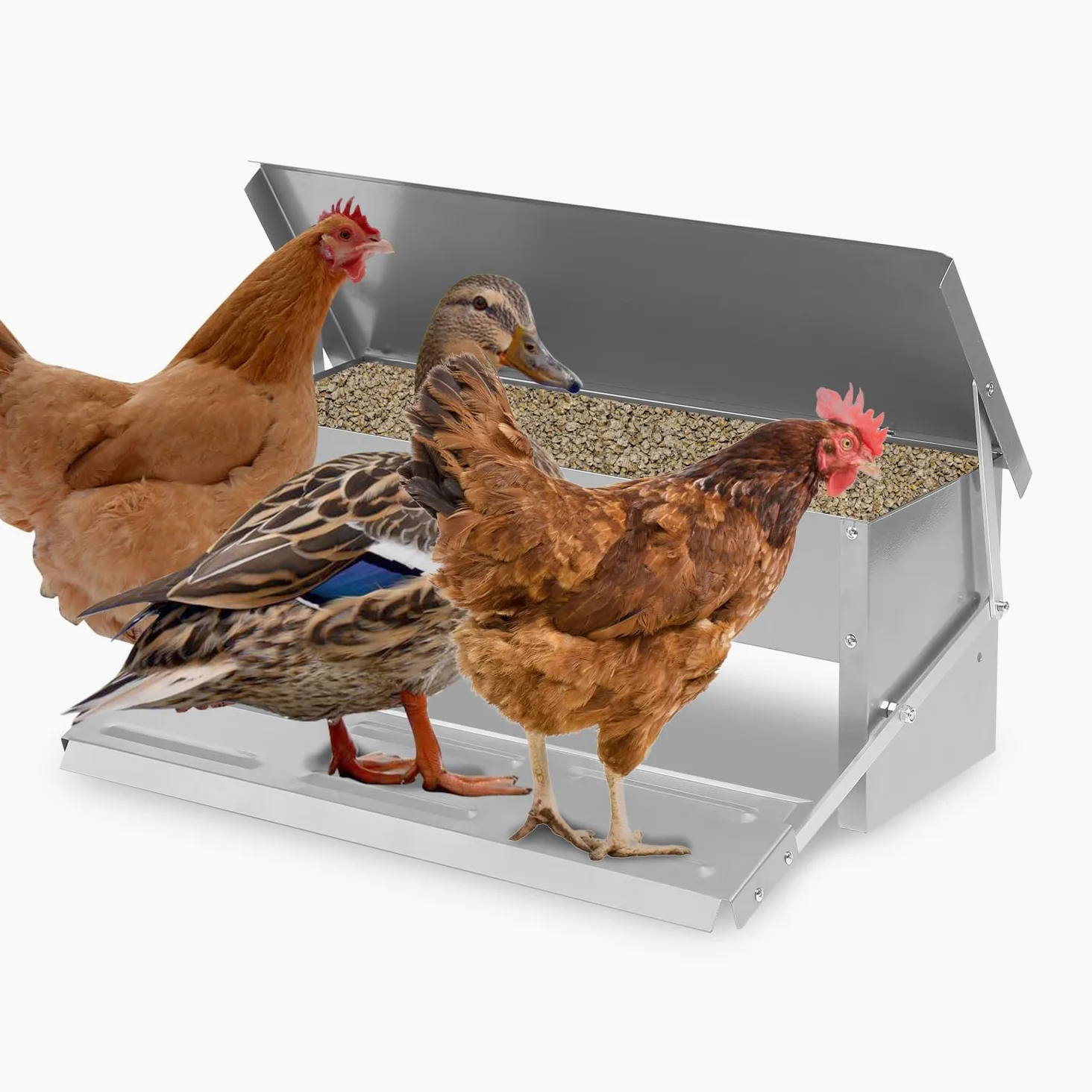 Randaco Mangiatoia automatica per polli in acciaio zincato, 5 kg, con pedale automatico e coperta impermeabile, cibo per pollame, impermeabile e a prova di topi