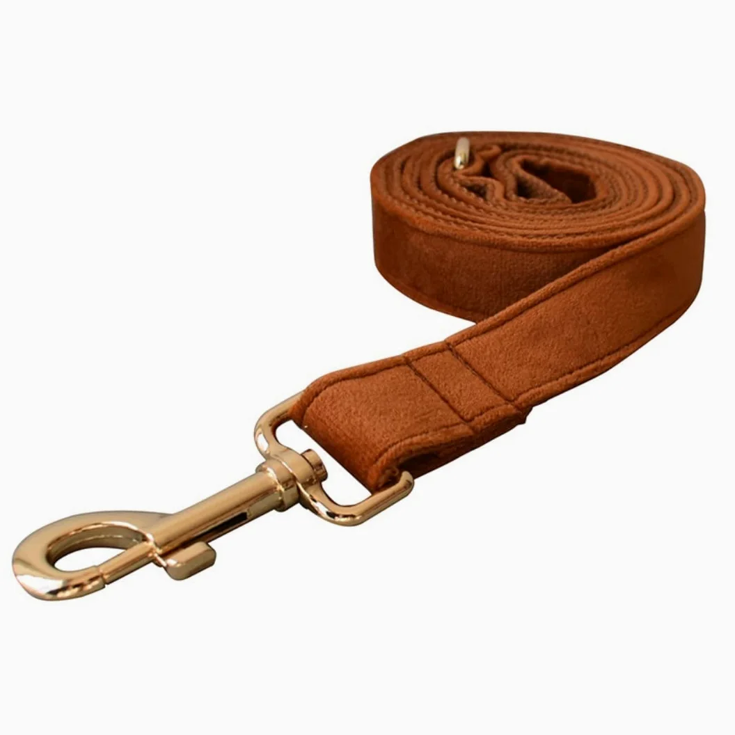 Morbido Guinzaglio Per Cani Guinzaglio Per Cani Con Fibbia In Oro Collare Collo Per Animali Domestici Set Di Sicurezza In Lega Per L'allenamento Quotidiano All'aperto Antiscivolo Flexi(27-41cm)