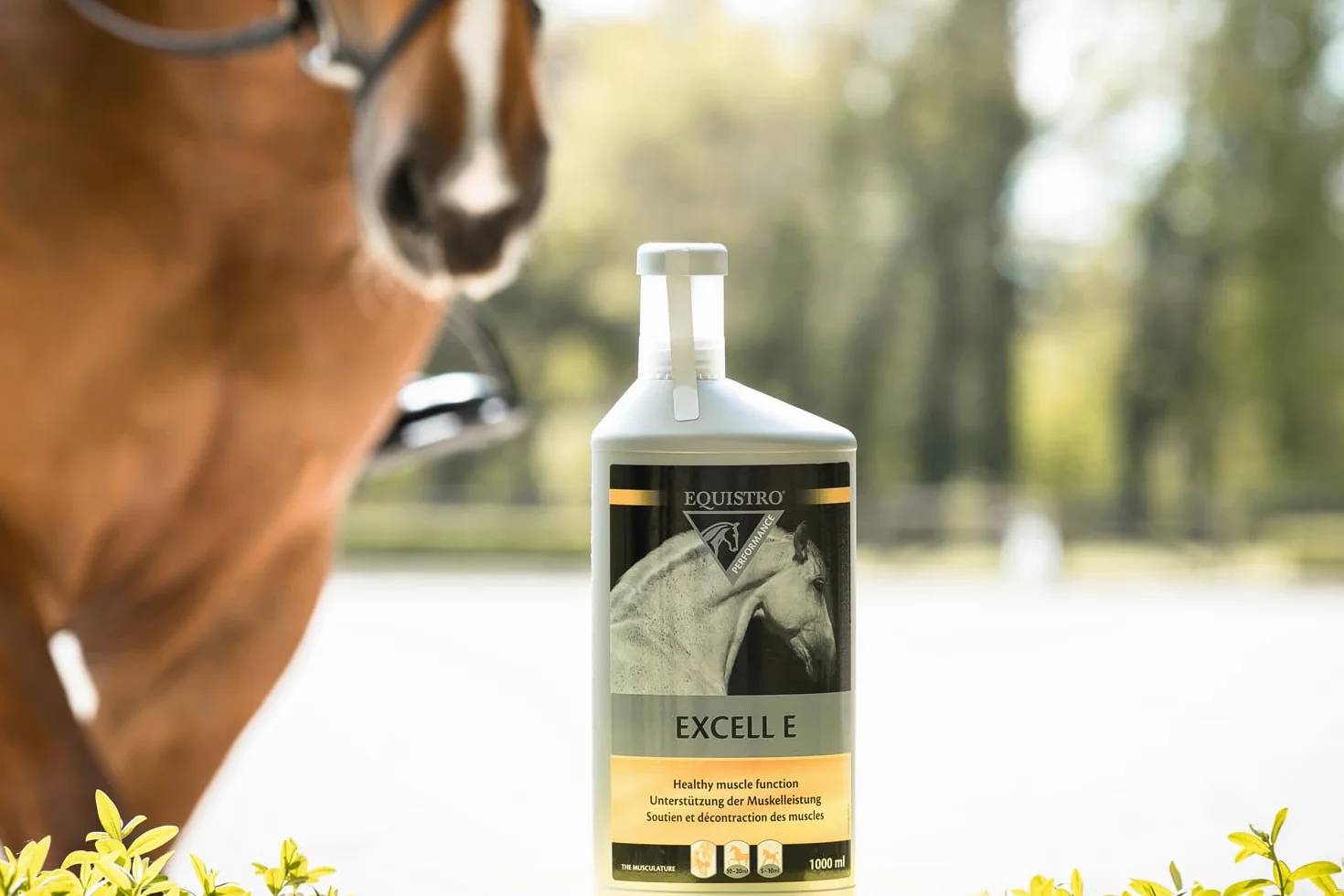 Equistro - Excell E liquido