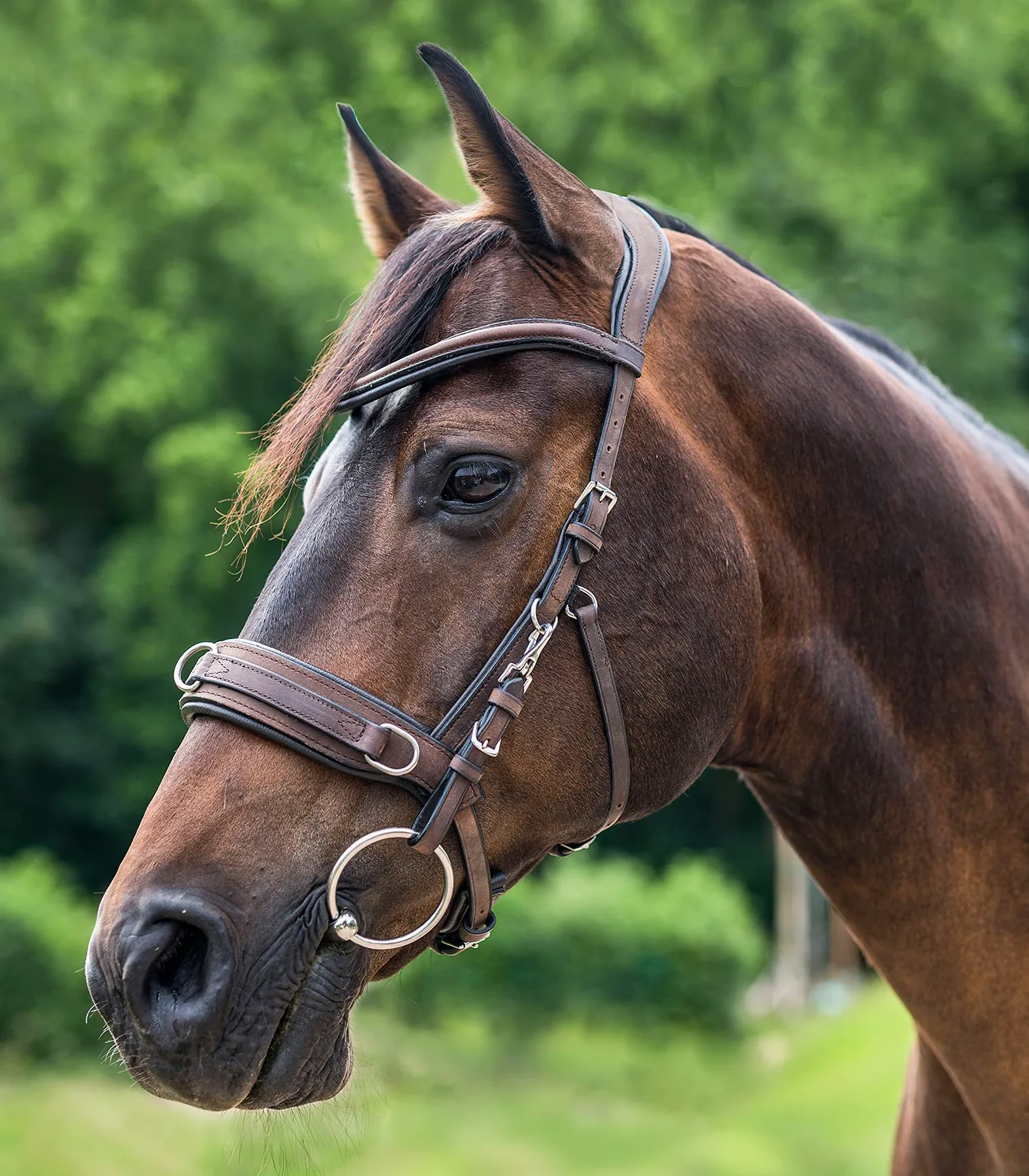 Leder-Kappzaum anatomic black Warmblut