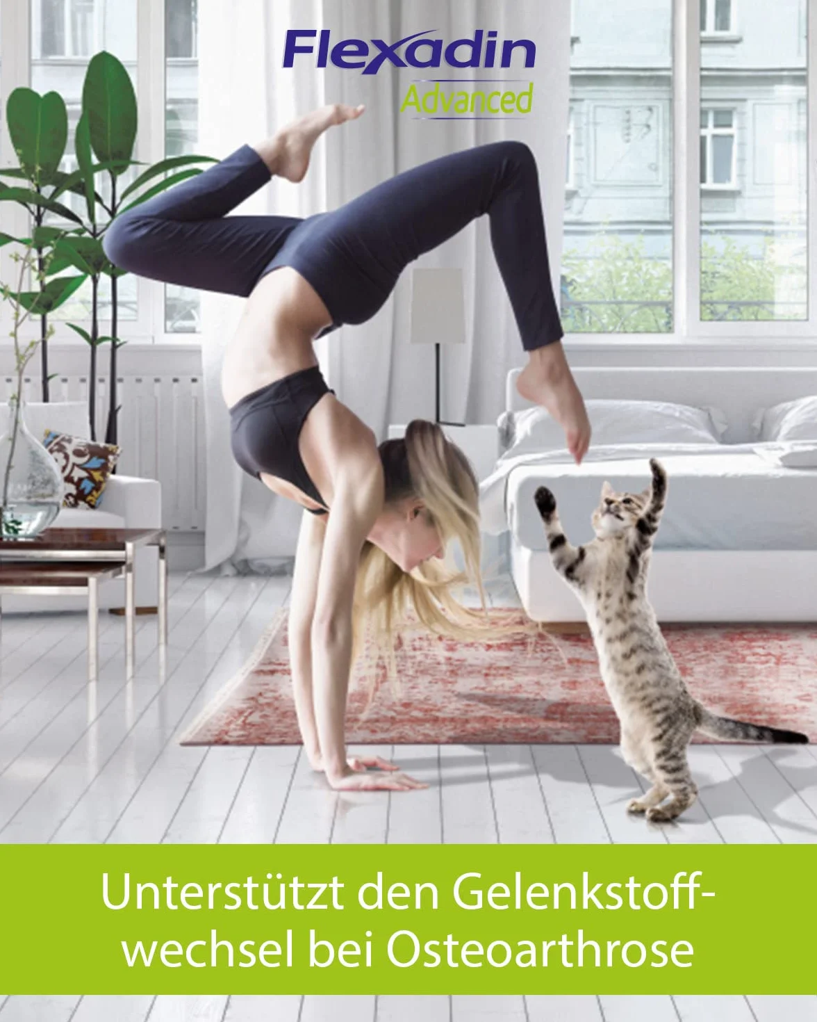 FLEXADIN ADVANCED® Gatto |Approccio innovativo alla salute articolare | Collagene non denaturato Tipo II – 60 Gelenkleckerli