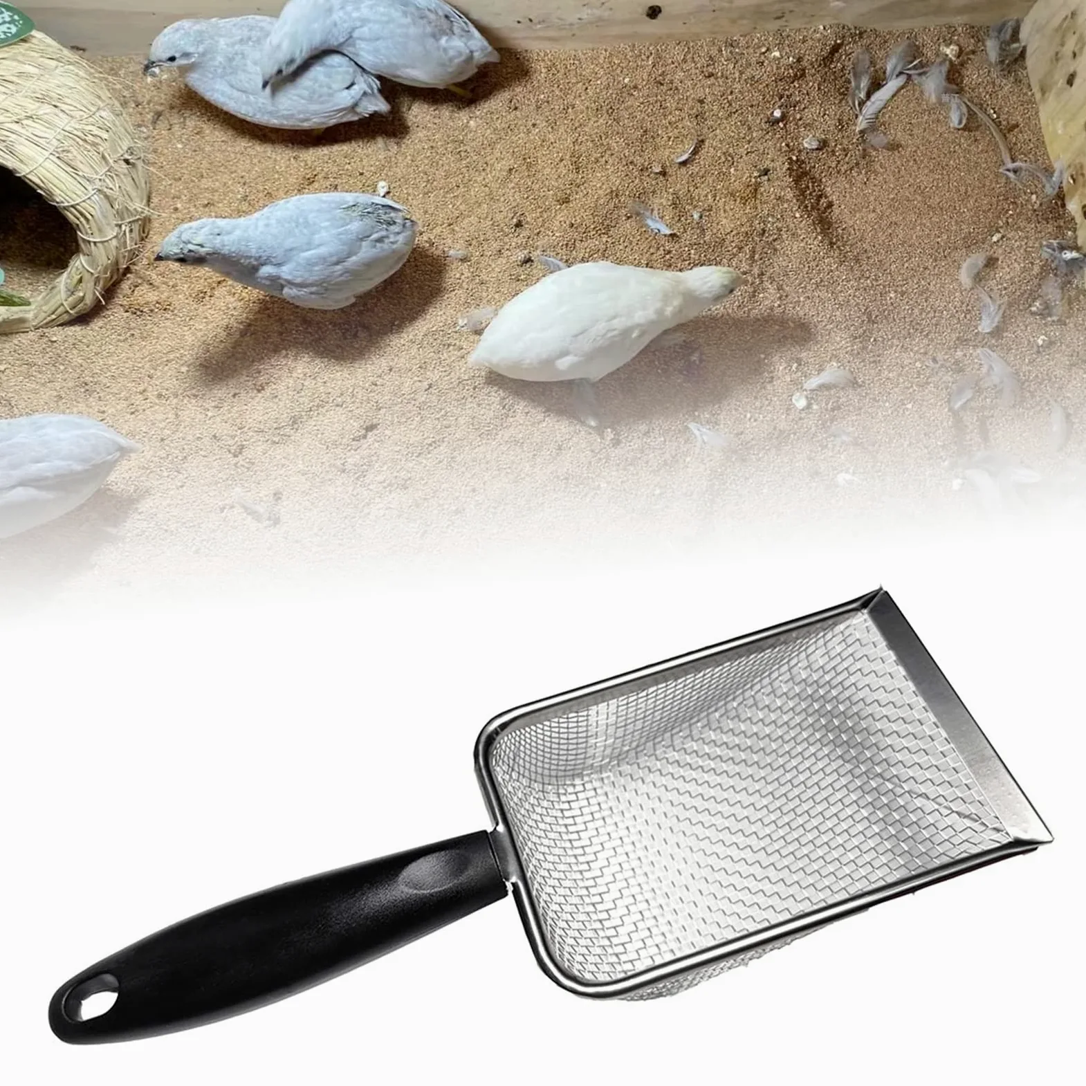 Rettili Acciaio Inox Sabbia Paletta In Metallo Setaccio Rete Fine Terrario Substrati Cleaner Angolo Setaccio Cleaner