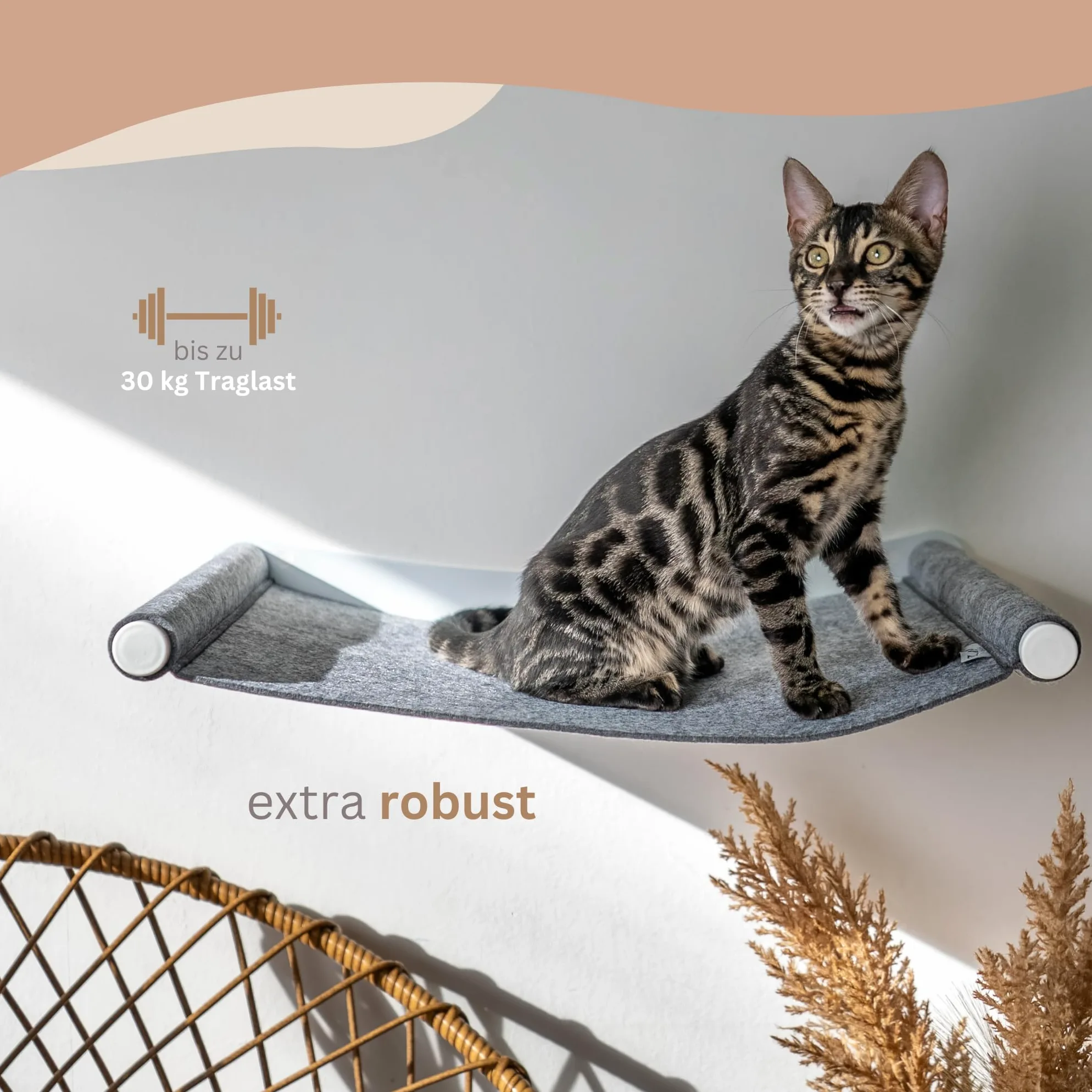 AZANO Amaca per gatti XL, in metallo, design da arrampicata a parete per gatti, extra grande e stabile, colore grigio