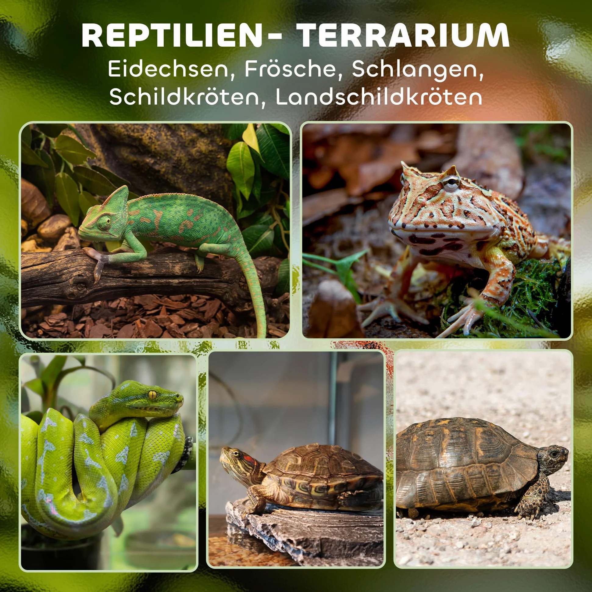 PawHut Terrario per rettili, terrario in vetro, 24 l, contenitore di alimentazione rettile, con ventilazione frontale, tappo a vite per anfibi ragno, nero, 30 x 30 x 30 x 30 cm