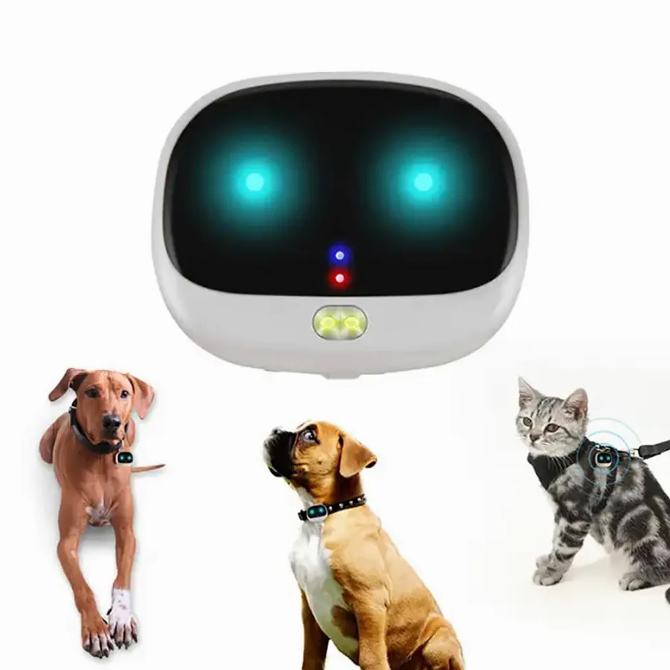 GPS Dog Tracker, collare intelligente ricaricabile per animali domestici con tracciamento e luci LED, sistema di contenimento per animali domestici per Corgi e Shiba Inu, dati sportivi e allarme