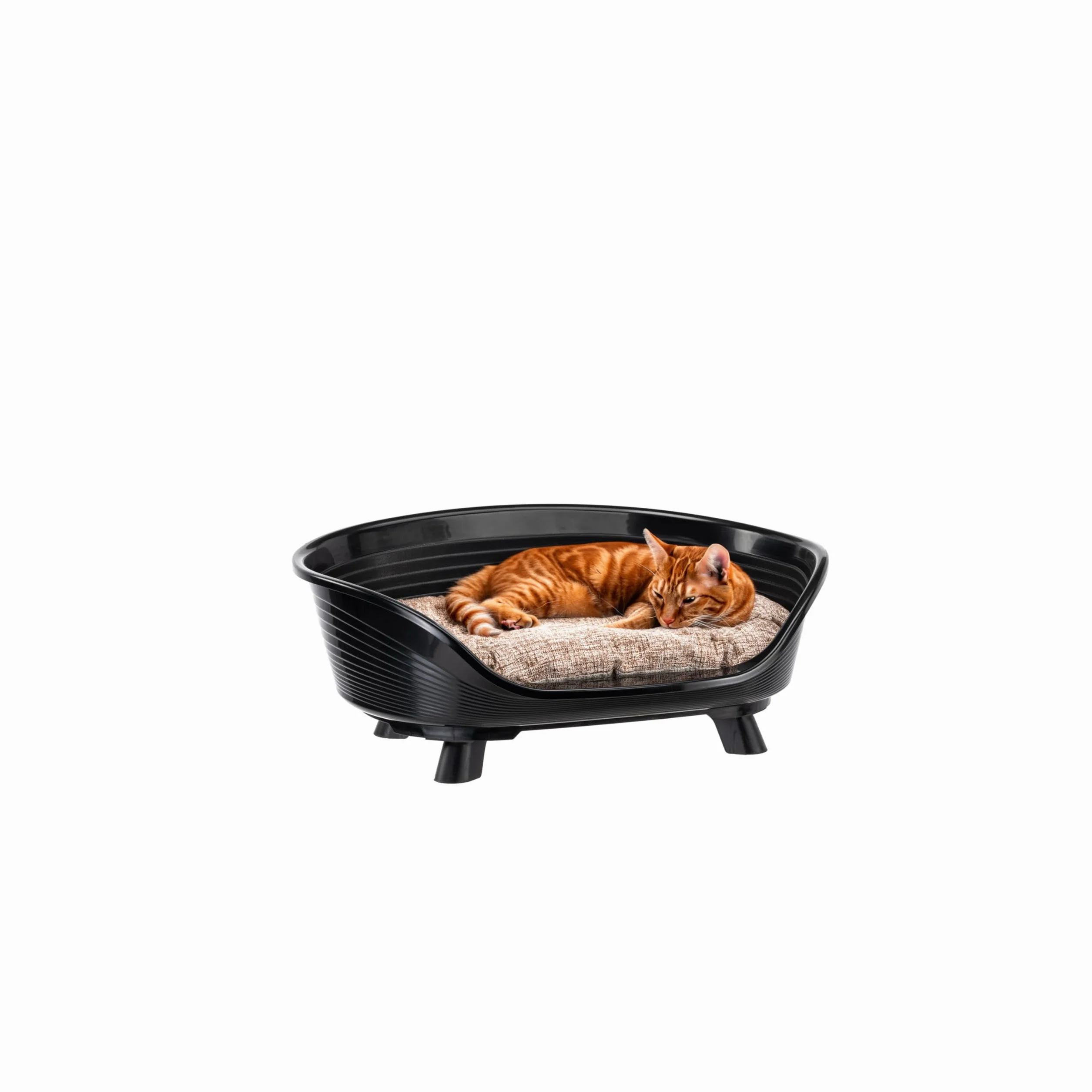 Ferplast Cuccia Cane e Gatto con Cuscino in Cotone, Cuccia Rialzata, Lettino per Cani Gatti da Interno, Traspirante e Antiscivolo, THRONE 61,5 x 45 x h 26 cm, Nero