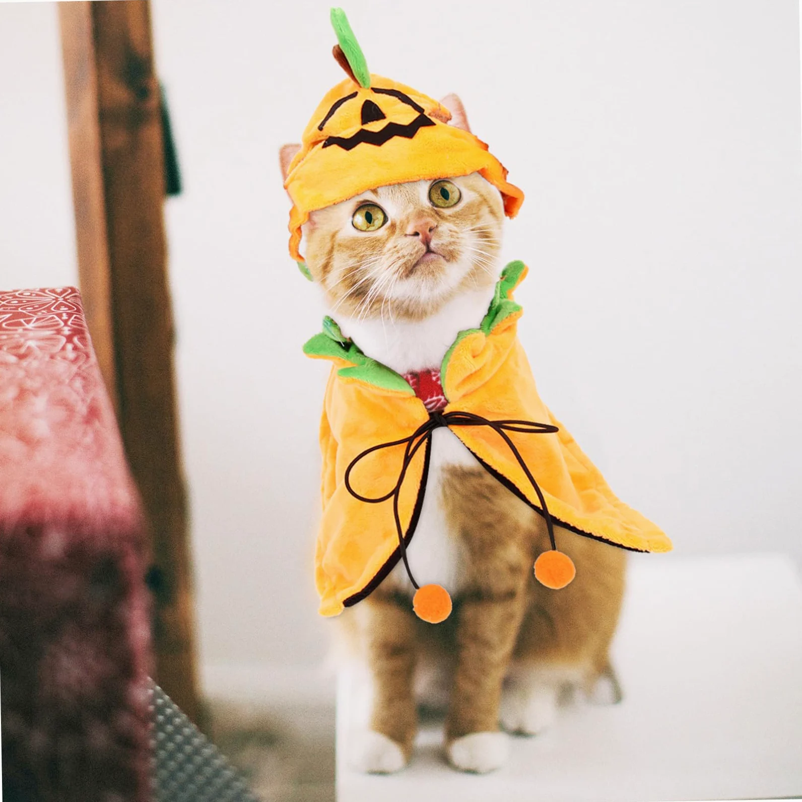 POPETPOP 4 Set Mantello Per Animali Domestici Mantello Di Peluche Per Animali Domestici Costume Da Zucca Di Halloween Per Gatti Mantello Di Zucca Per Cani Costume Di Halloween Per Cani