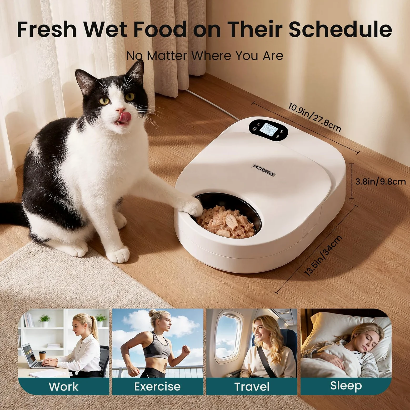 Mangiatoia automatica per gatti con raffreddamento, senza pacchetti refrigeranti, 48 ore di freschezza, per cibo umido e secco, timer per controllo delle porzioni, orari di lavoro e weekend