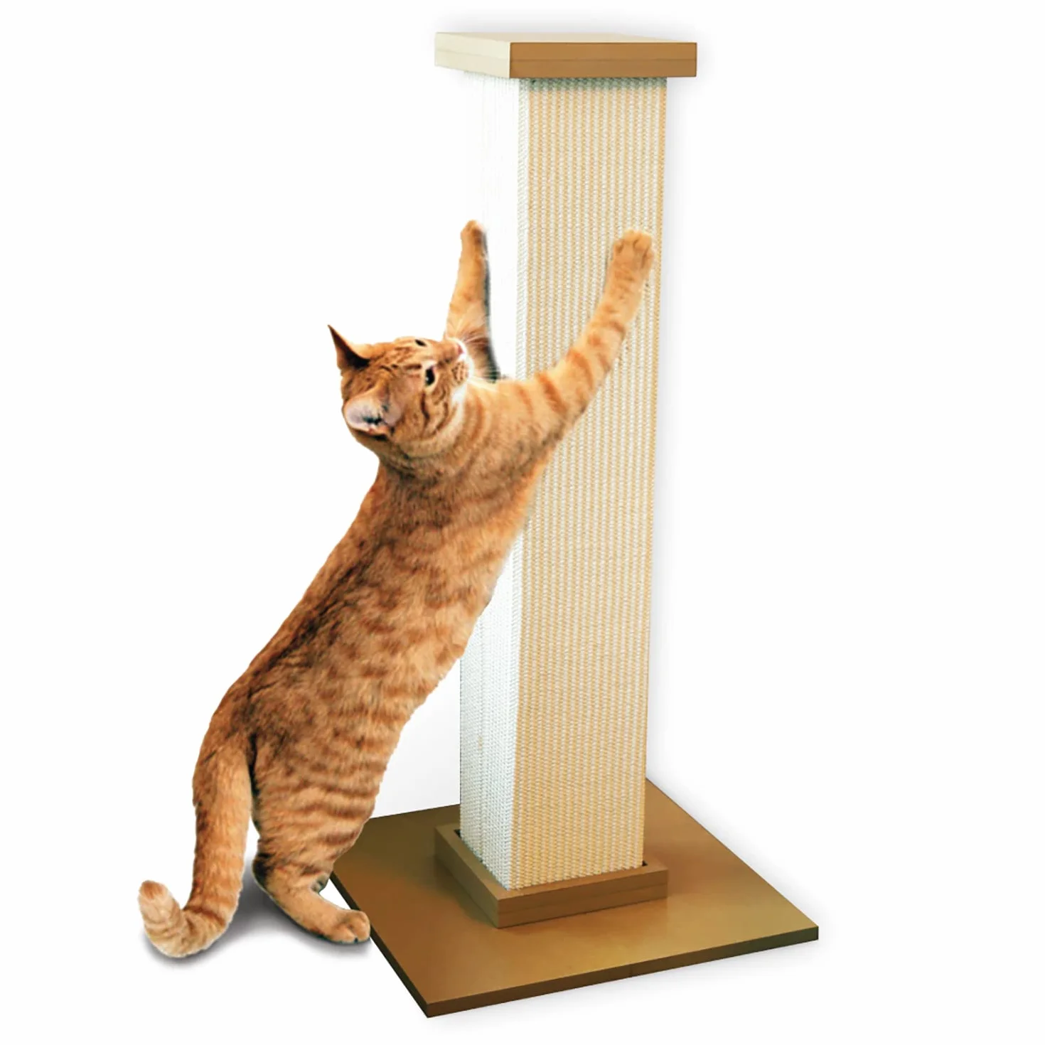 Smart Cat - Tiragraffi definitivo