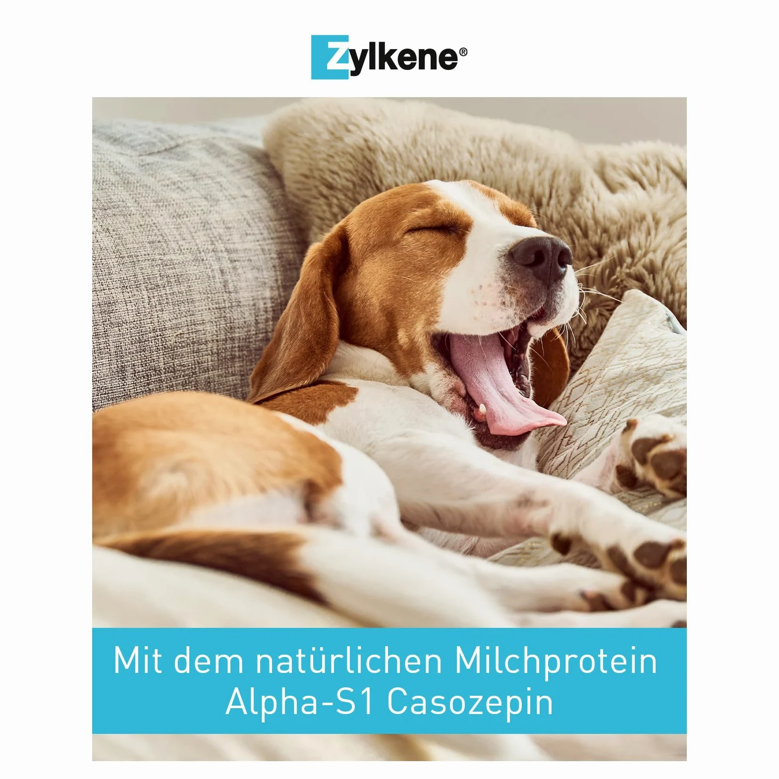 Zylkene 225 mg - 100 capsule (cani)