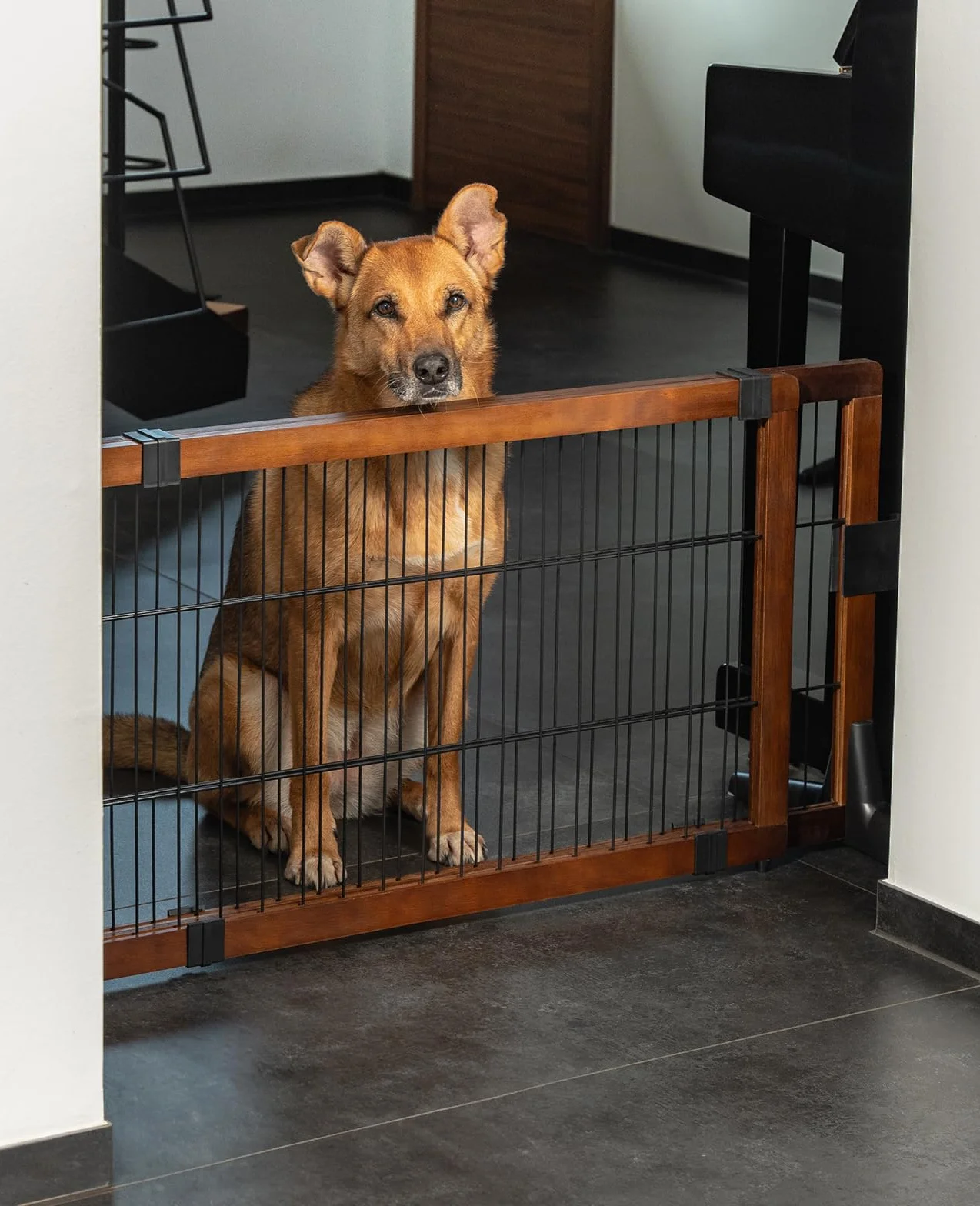 lionto Cancelletto cani barriera protettiva cani barriera animali barriera cani Altezza 50 cm
