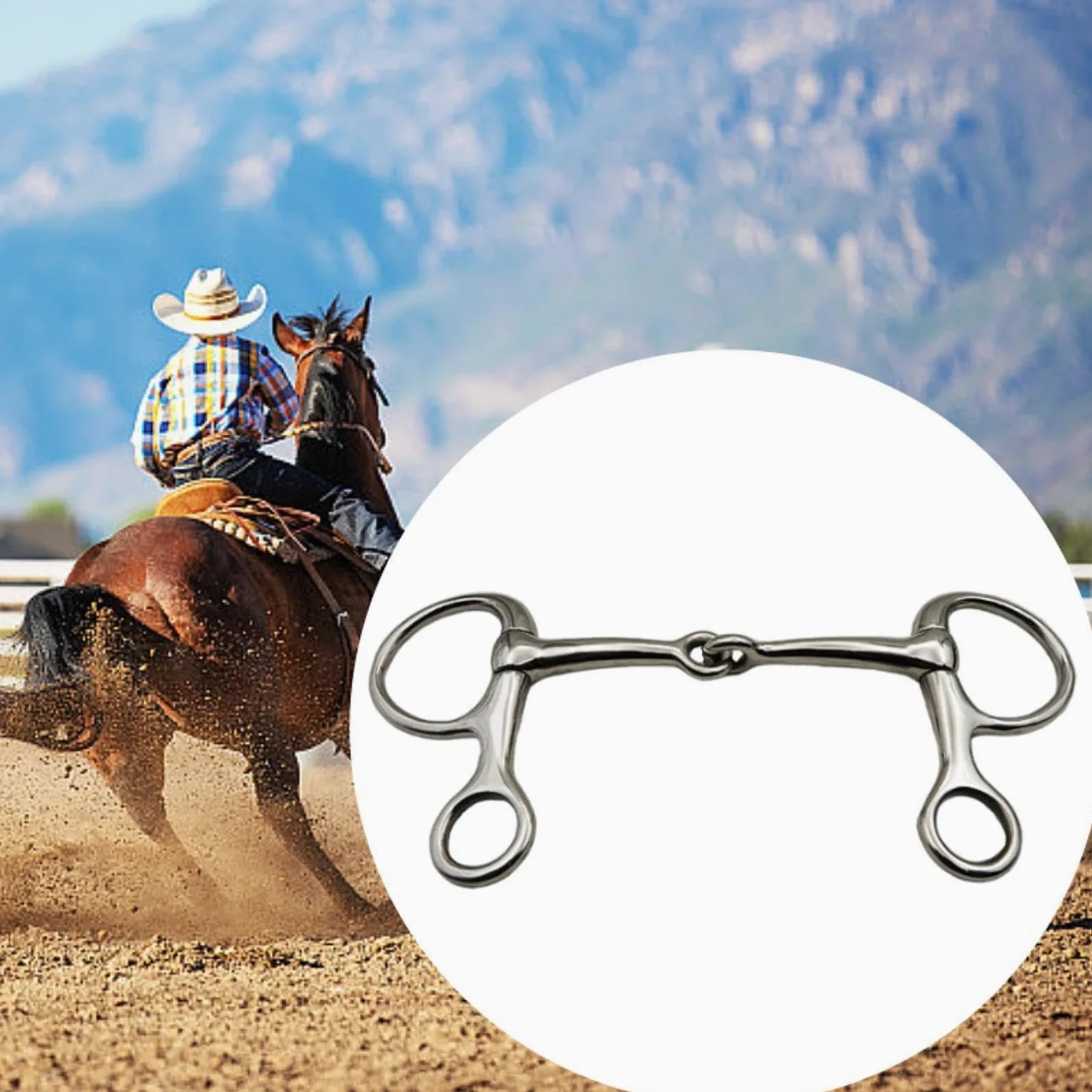 Morso per Cavallo, Filetto per Cavallo, Filetto a guancia, Attrezzatura per l'addestramento dei Cavalli, morso a Bocca per Cavallo