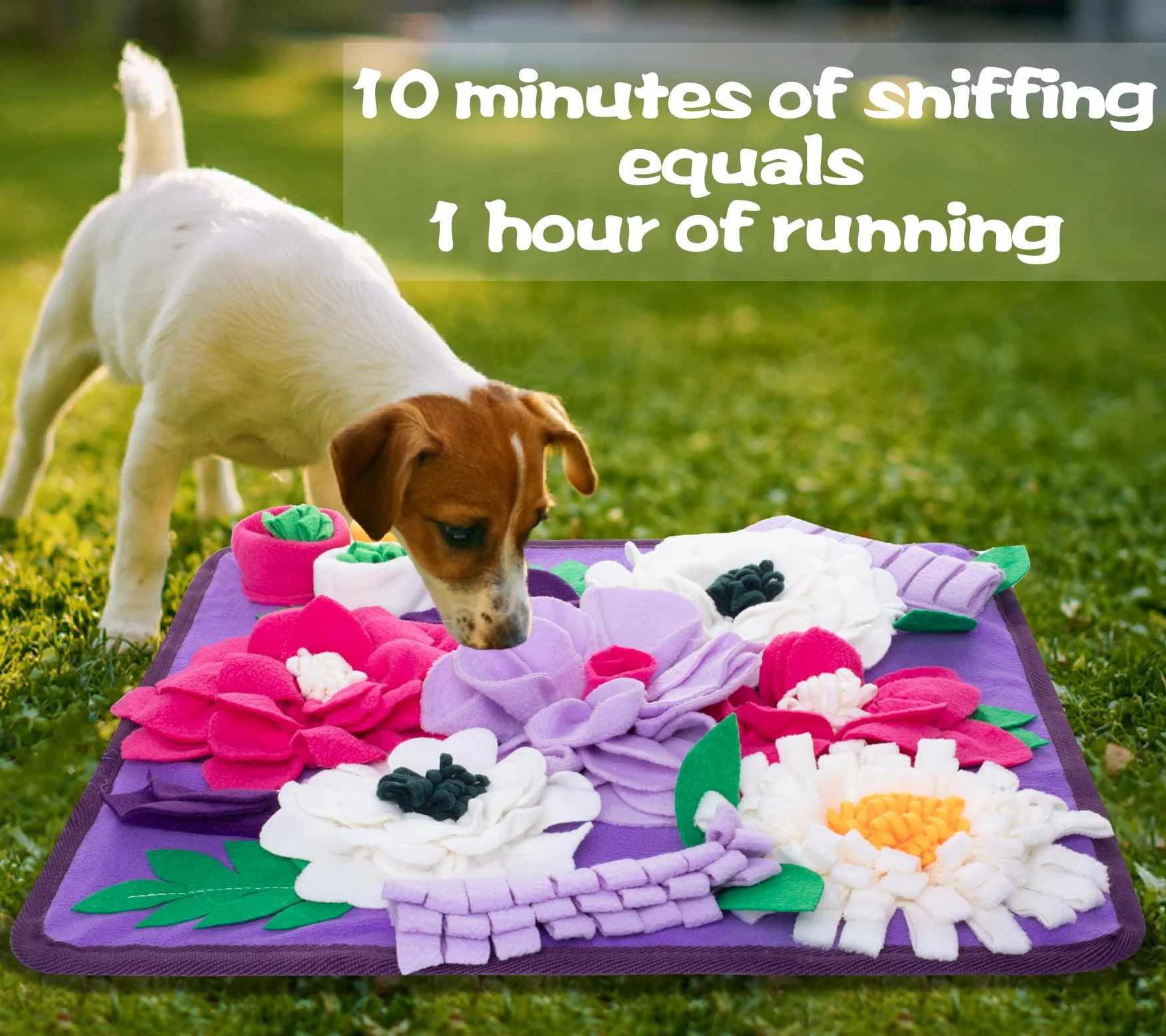 Tappetino interattivo per cani, per addestramento e sollievo dallo stress, incoraggia le abilità naturali di foraggiamento (viola)