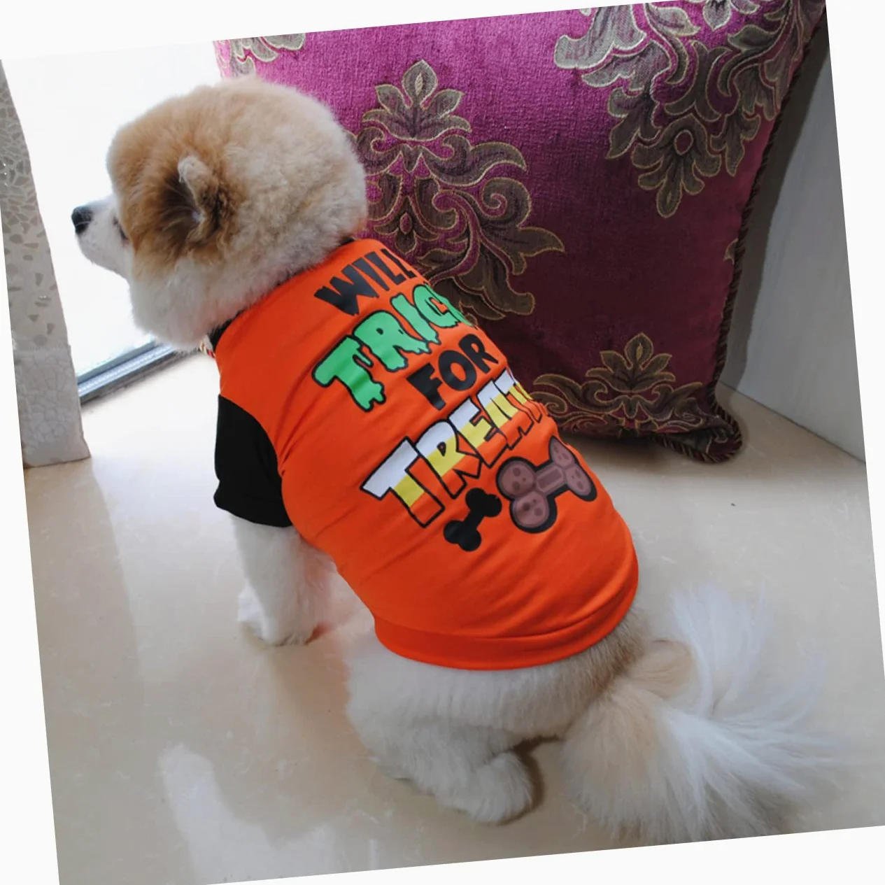 PRETYZOOM 6pezzi Costumi Per Cani Di Halloween Da Magliette Per Cani e Arancione Comode e Lavabili Per Feste e Occasioni Speciali