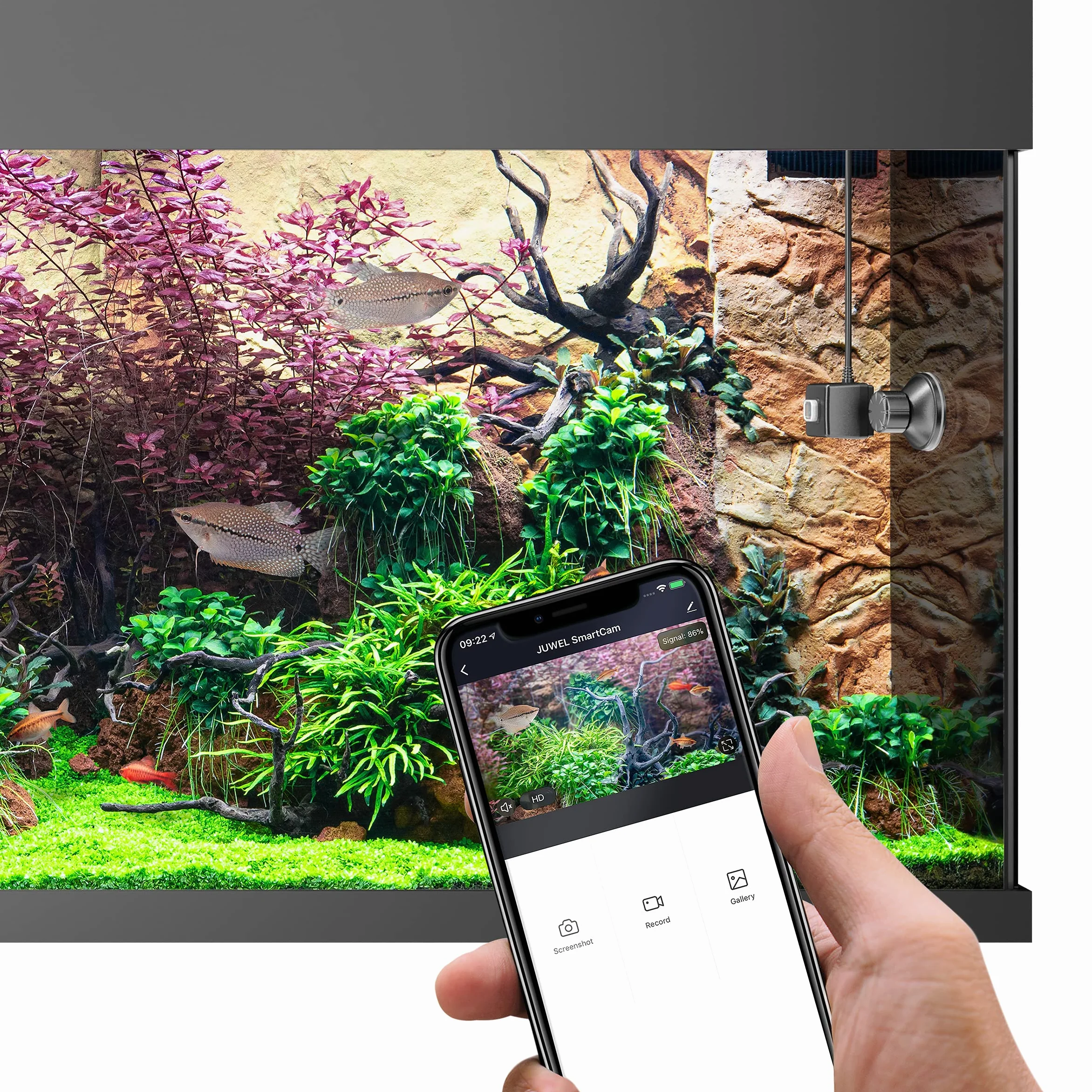 GS1 Germany GmbH JUWEL SMARTCAM Webcam Immersione Acquario