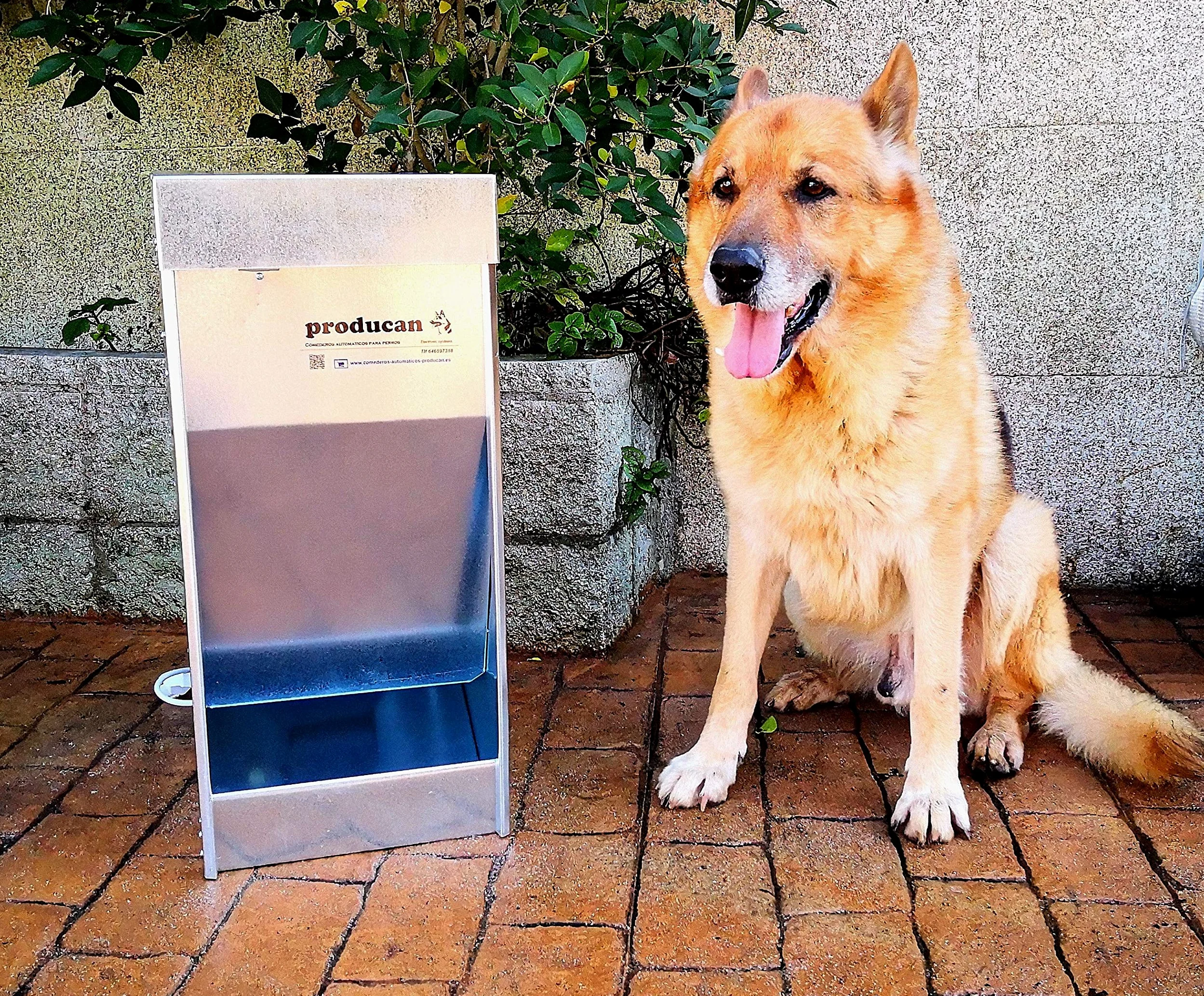 Producàn - Mangiatoia automatica da 40L per cani grandi, 220 V