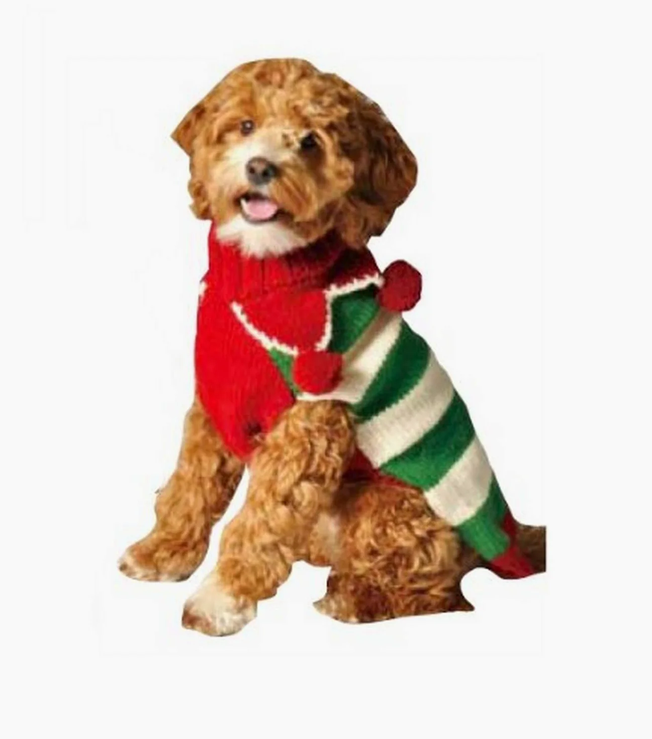 Chilly Dog Christmas Elfo Maglione