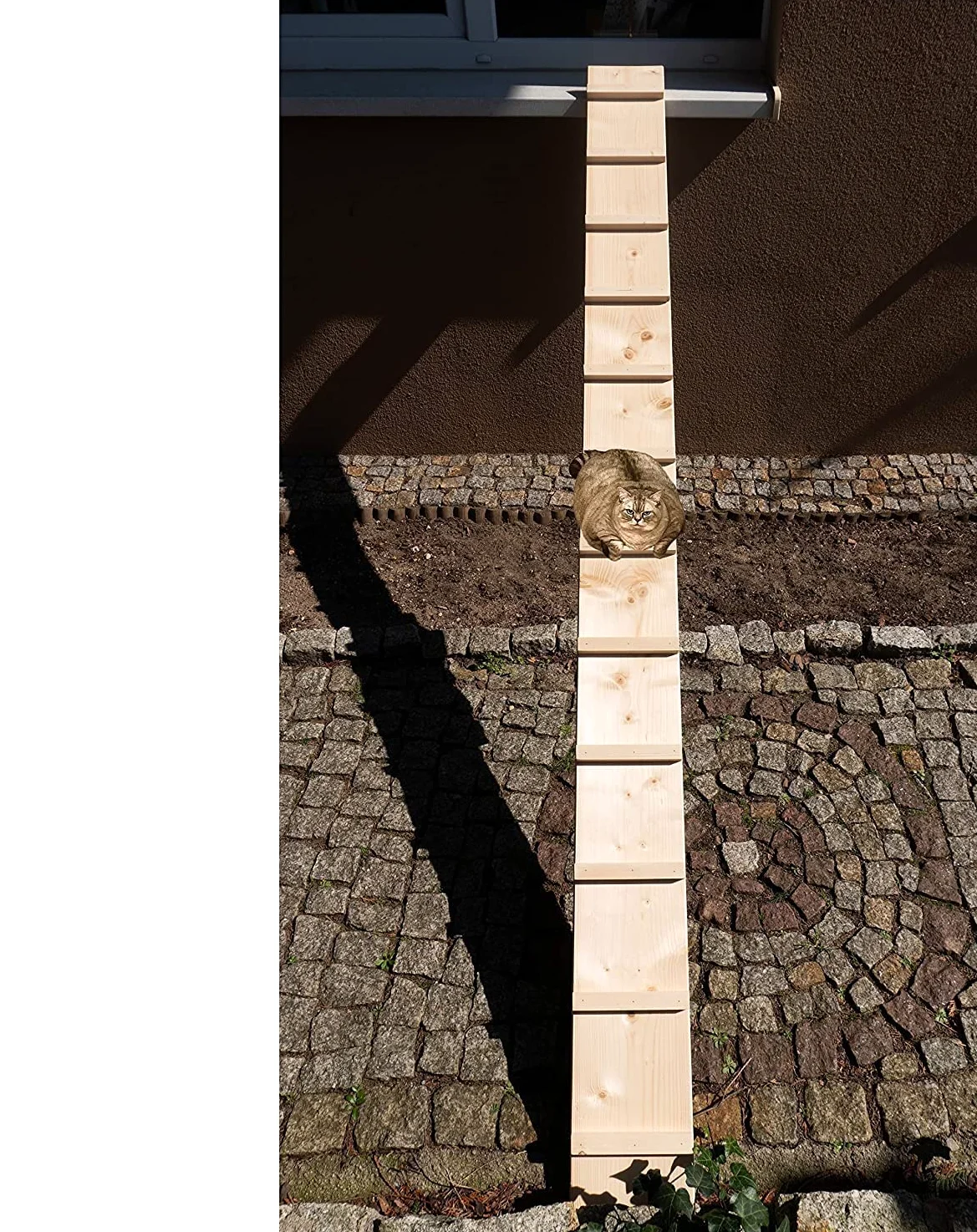 Scala per gatti, gradino per gatti, per balcone, scale, 3 m, con ganci in metallo