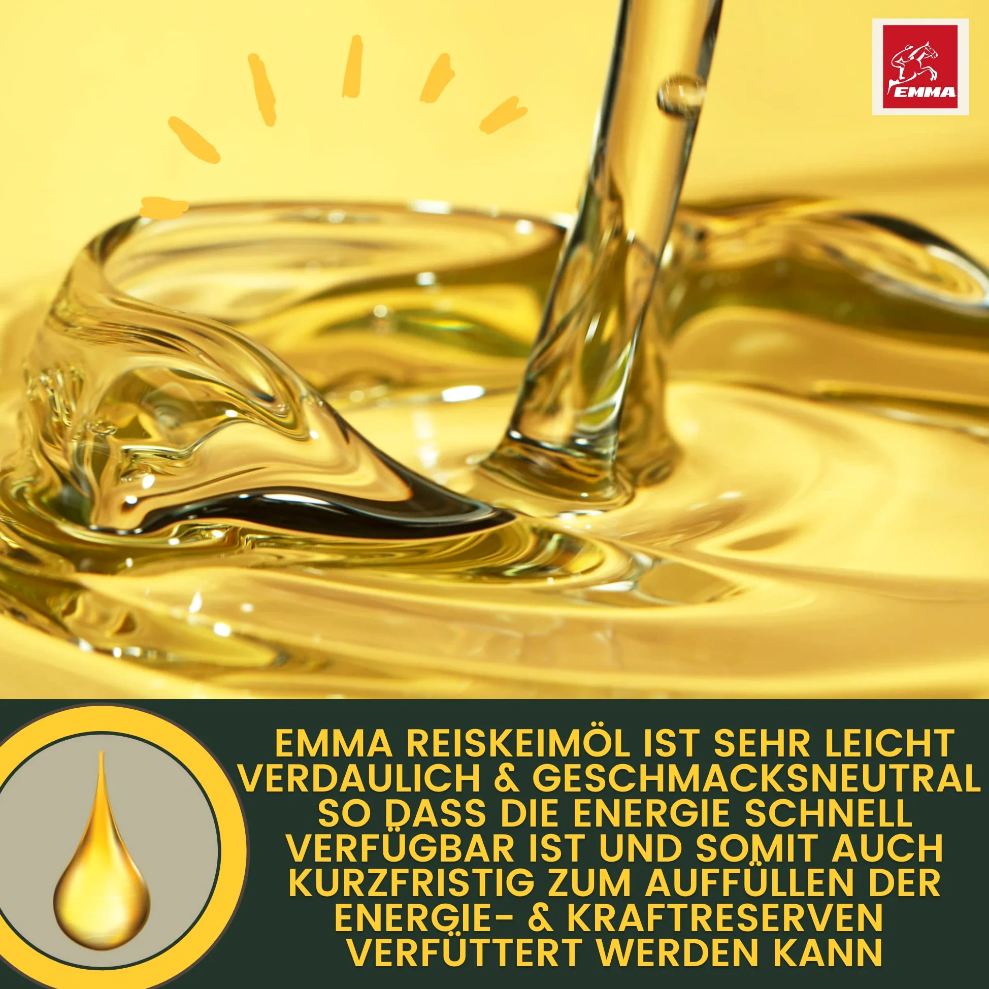 Aminoacido Vitamina E Olio di germe di riso I Mangime ricostituente amino - Supporta la costruzione muscolare e le prestazioni energetiche dei I Rafforzamento della muscolatura nei cavalli 2 * 1L30ml