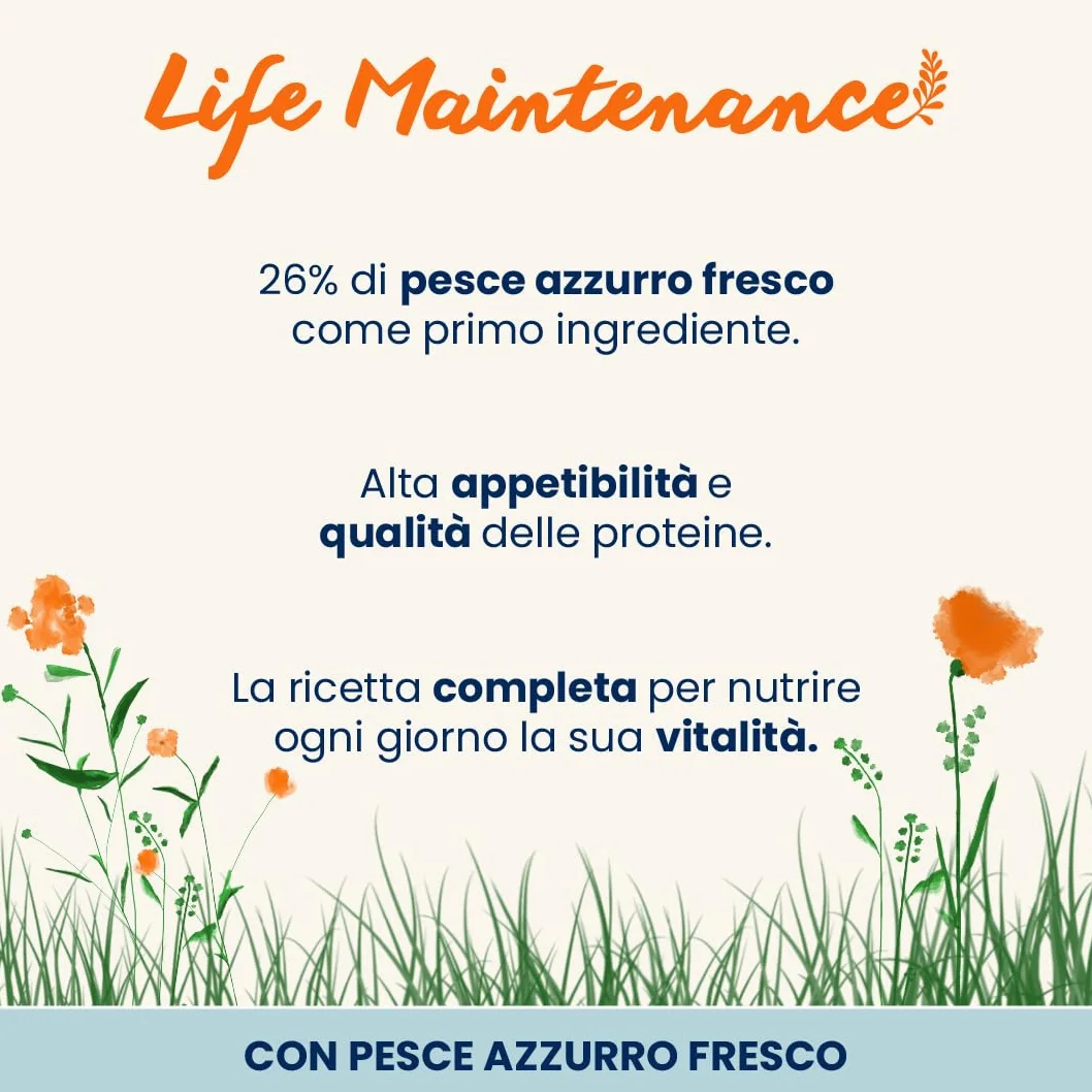 Almo Nature Life Maintenance - Crocchette per Gatti Adulti con Pesce Azzurro Fresco come 1° Ingrediente - Sacco da 2kg