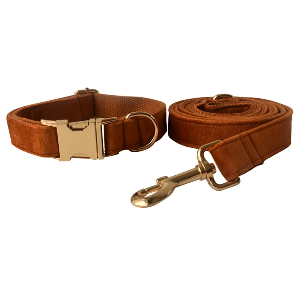 Morbido Guinzaglio Per Cani Guinzaglio Per Cani Con Fibbia In Oro Collare Collo Per Animali Domestici Set Di Sicurezza In Lega Per L'allenamento Quotidiano All'aperto Antiscivolo Flexi(27-41cm)