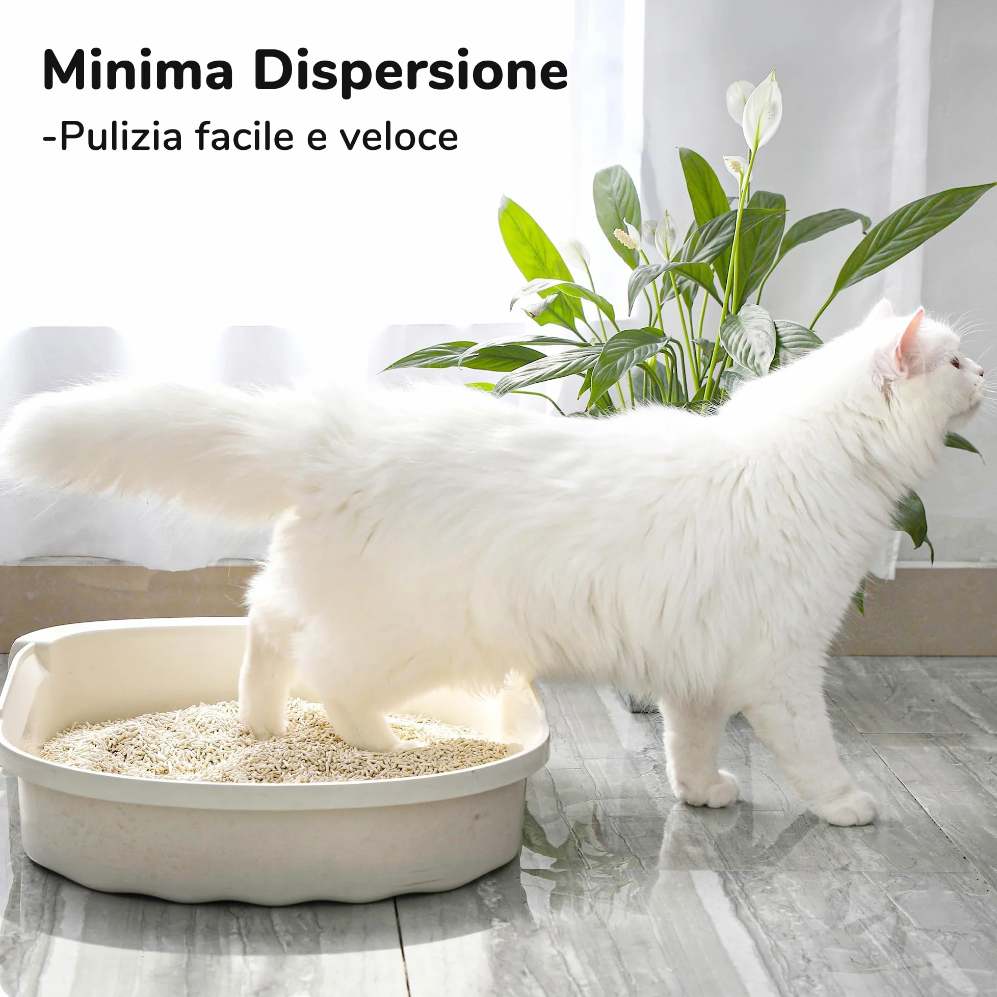 FUKUMARU Lettiera per Gatti al Tofu- 24L, Lettiera Agglomerante Naturale di Mais e Carbone Attivo, Biodegradabile, Profuma di Tè, Inodore, Senza Polvere, Smaltibile nel WC.